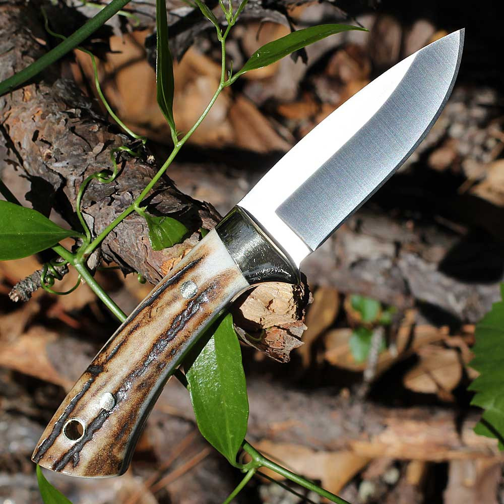 Muela Colibri Stag 02MU018 full-tang fixed blade hunting knife 2.83 inch 4116 stainless satin drop point blade with brass bolsters and leather sheath