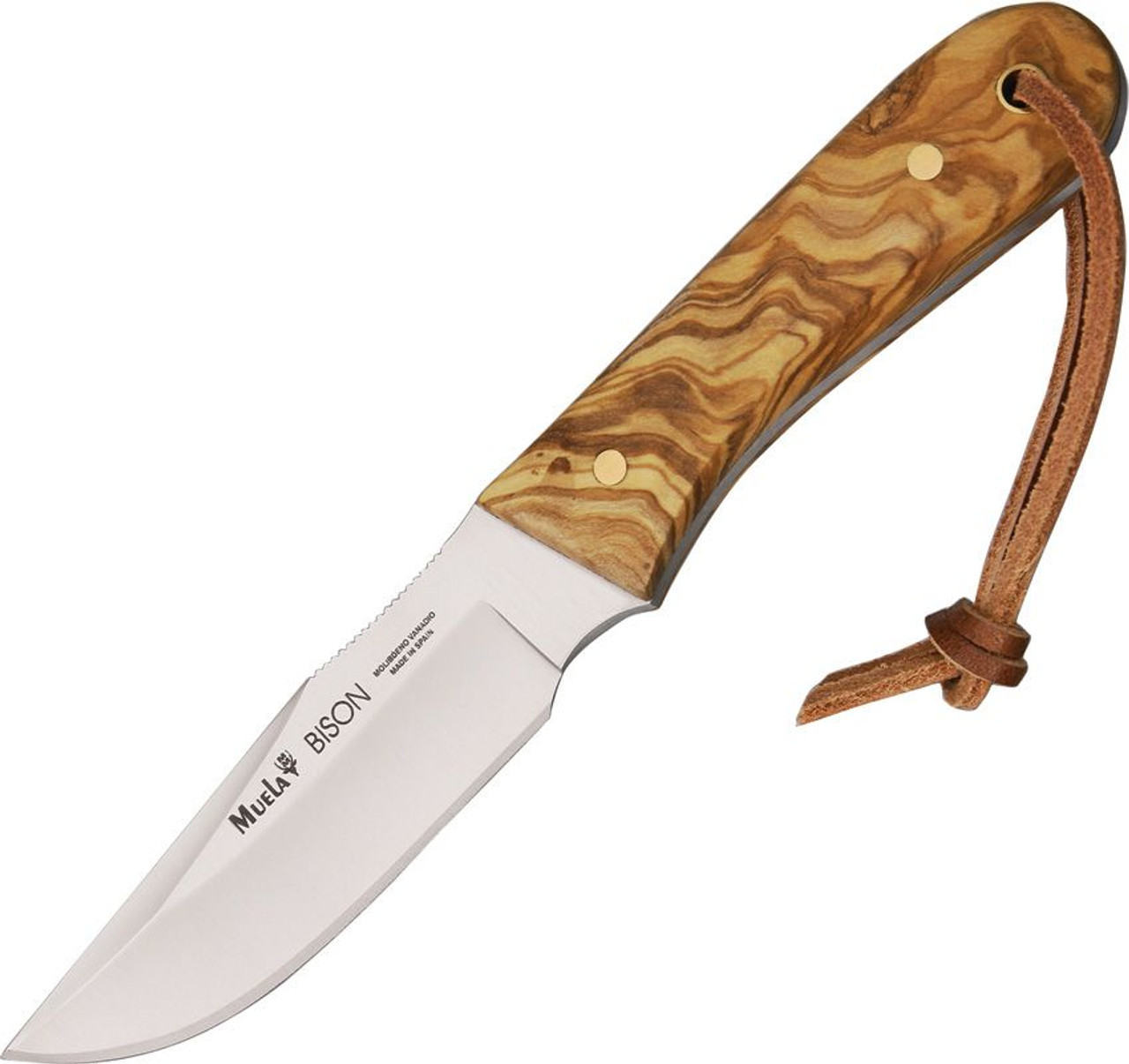 Muela Bison Fixed Blade Knife (MUE91779)- 3.50" Stainless Steel Clip Point Plain Blade, Olive Wood Handle