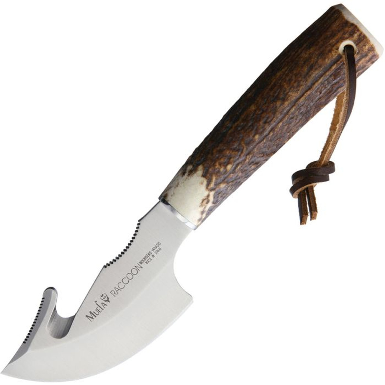 Muela Raccoon Fixed Blade Knife (MUE90723)- 3.00" Stainless Steel Gut Hook, Stag Handle