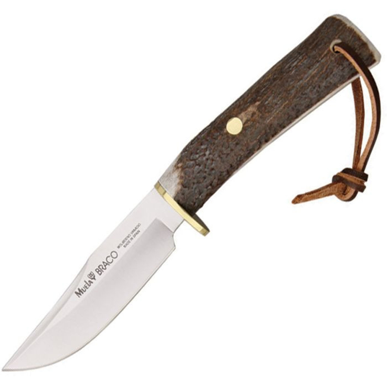 Muela Braco Fixed Blade Knife (MUE90854)- 4.13" Stainless Steel Drop Point Blade, Stag Handle