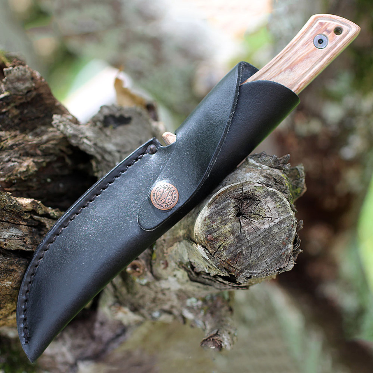 Folding Hunter Knife with Case