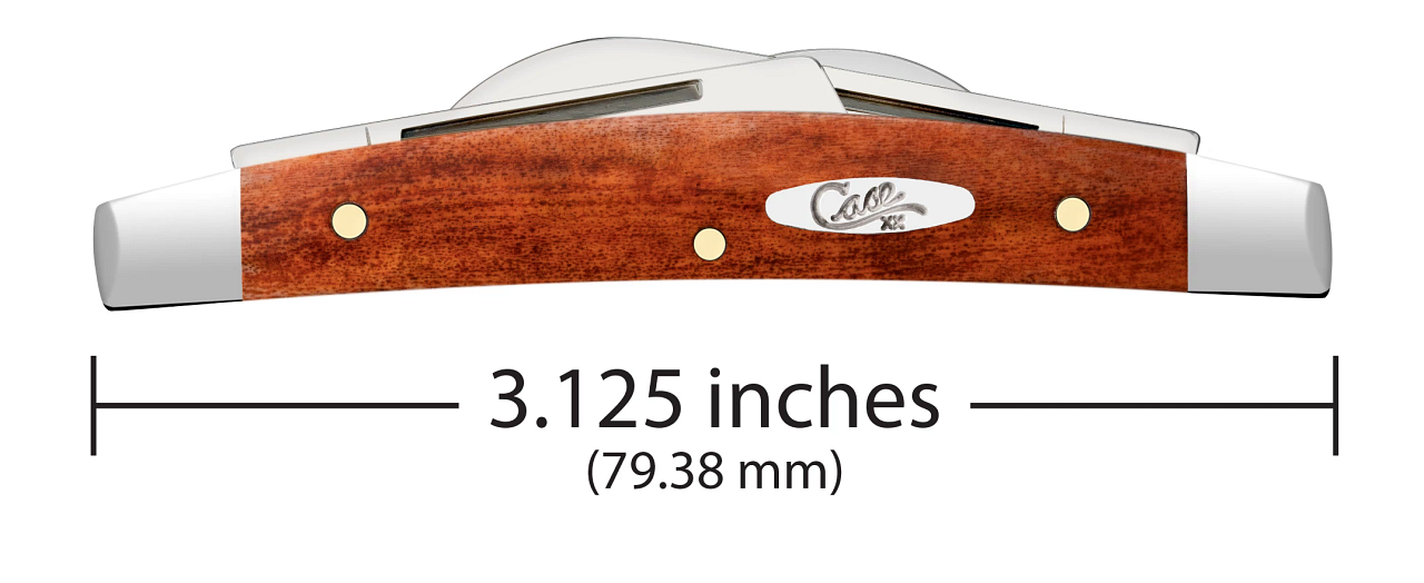 Case Small Congress 28911 Smooth Chestnut Bone Handle (6468 SS) w/Case Oval Script Shield