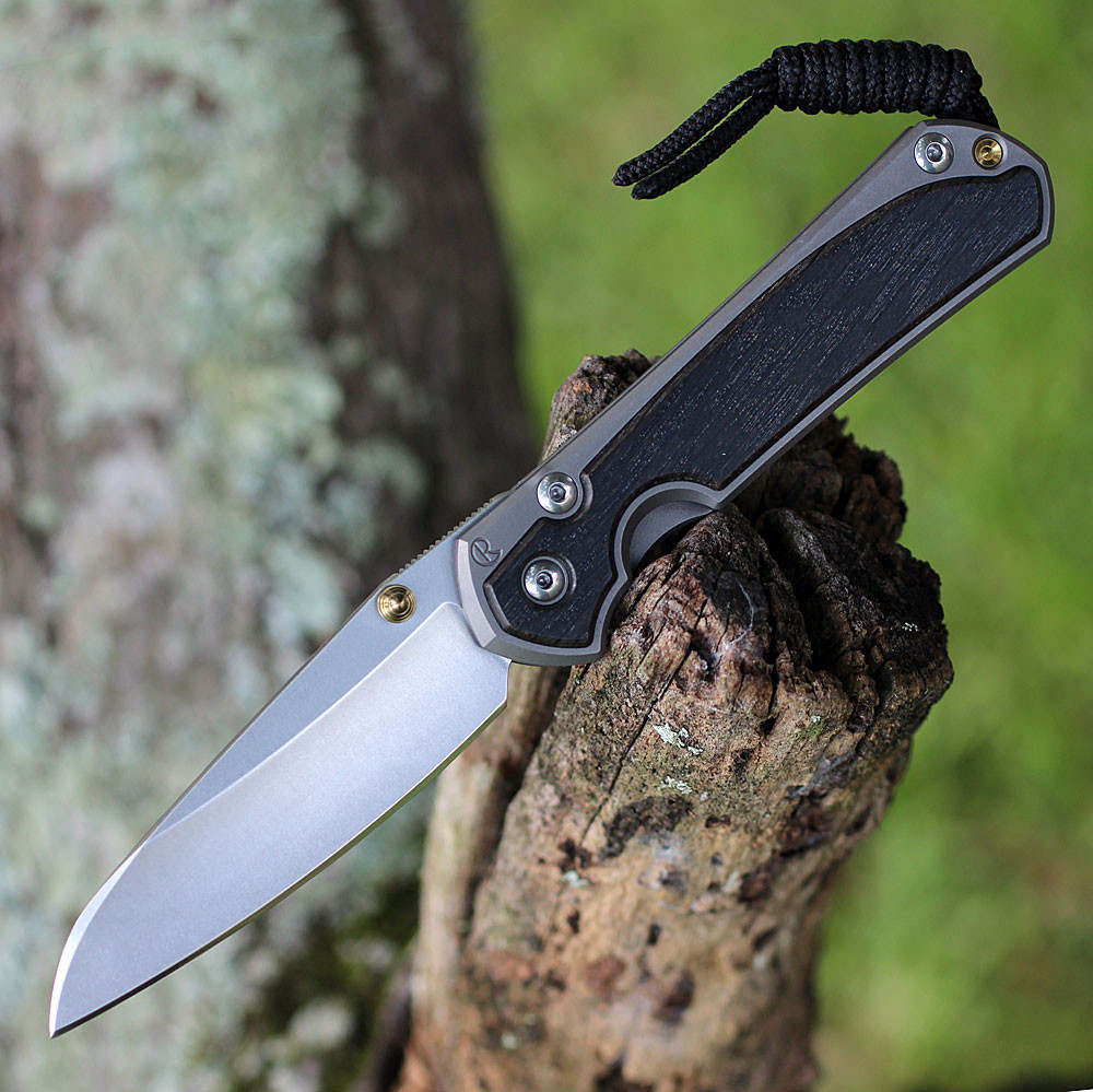 Chris Reeve Small Sebenza 31 Insingo Bog Oak Inlay | Glass Blasted
