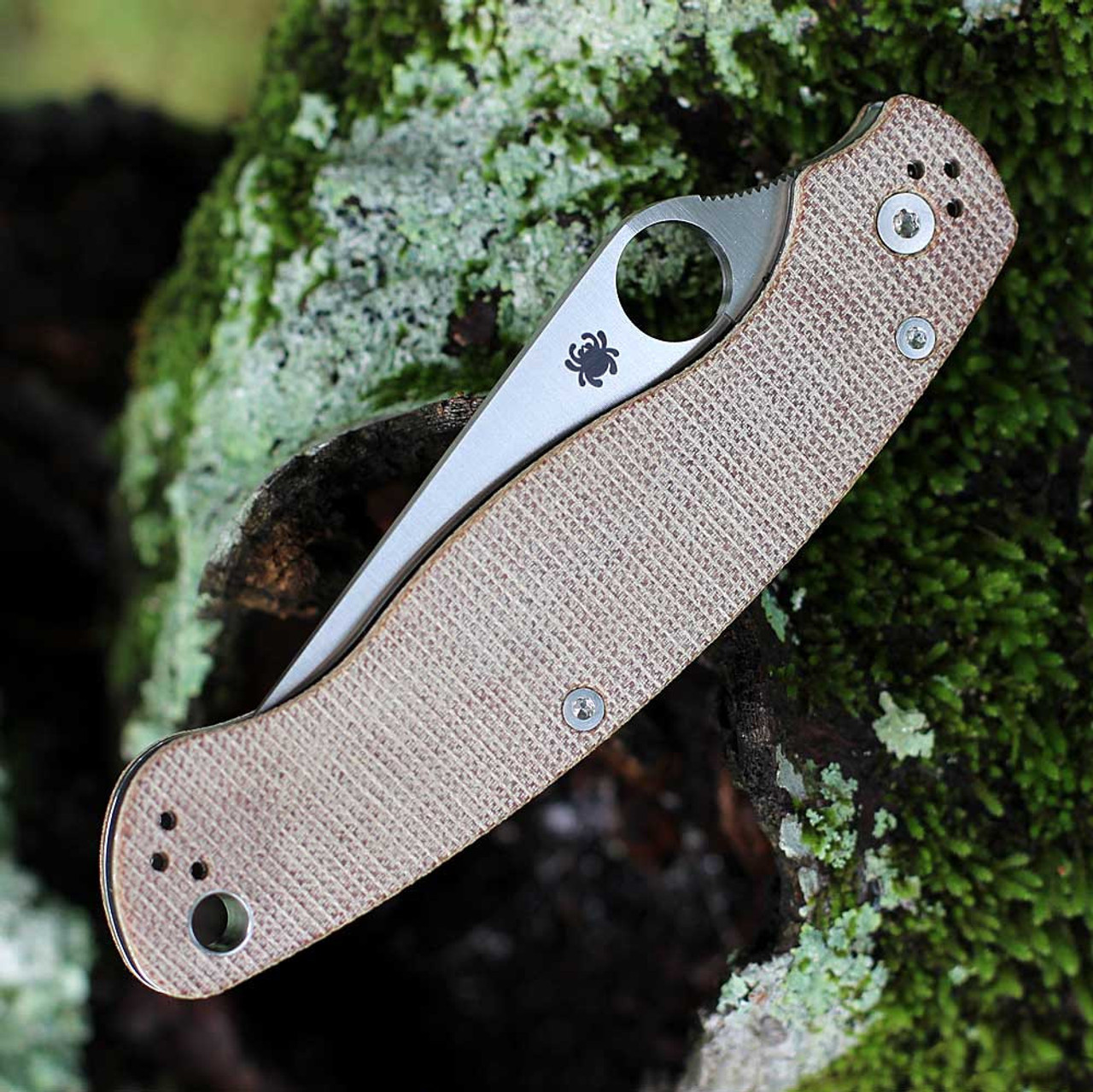 Spyderco Military 2 C36MPCW2 - 4.0in Sanded Smooth CPM Cru-Wear Plain Blade, Brown Canvas Micarta Handle