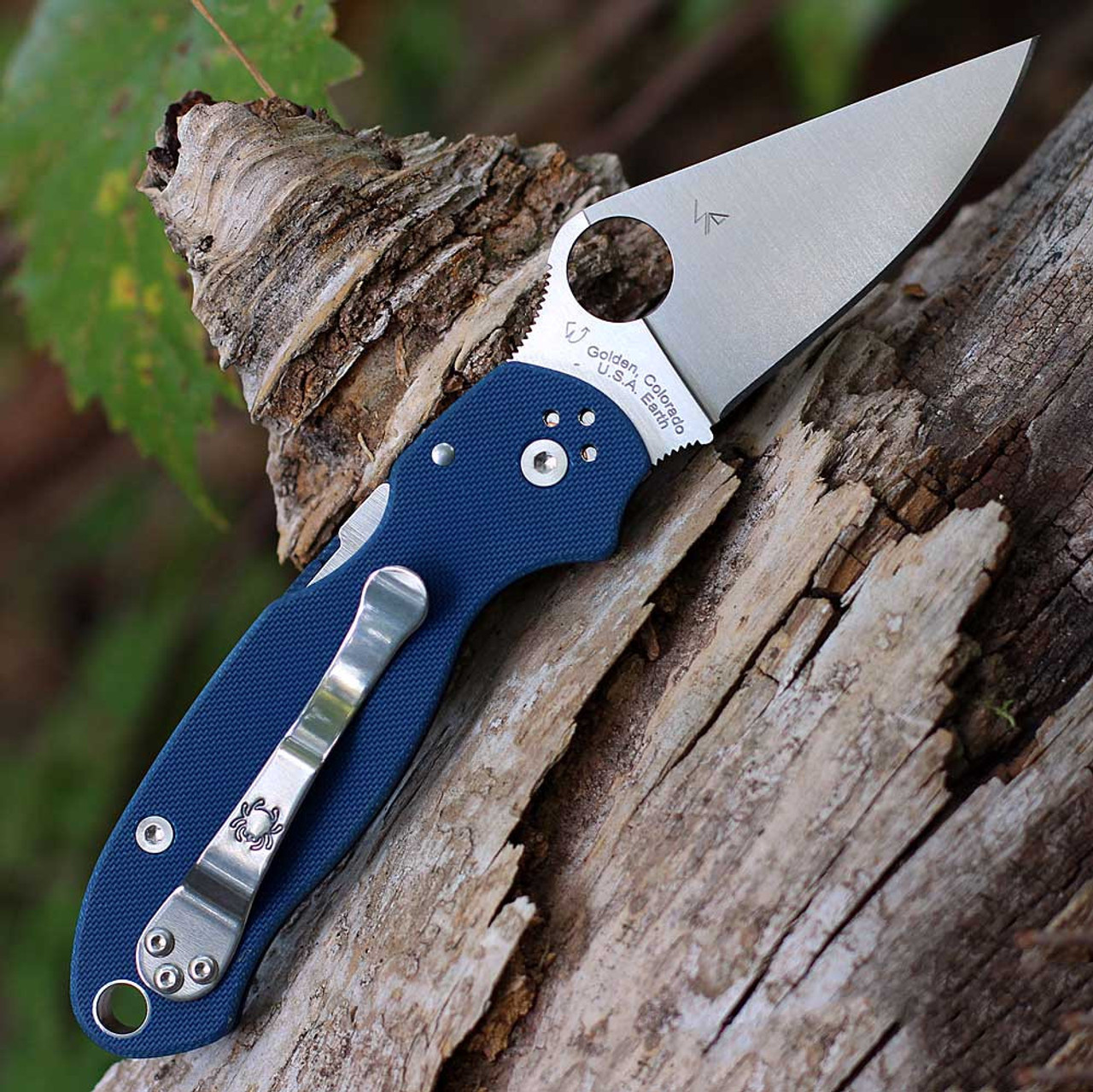 Spyderco Para 3 (C223GPCBL) - 2.92in Satin CPM-SPY27 Plain Blade, Cobalt Blue G-10 Handle