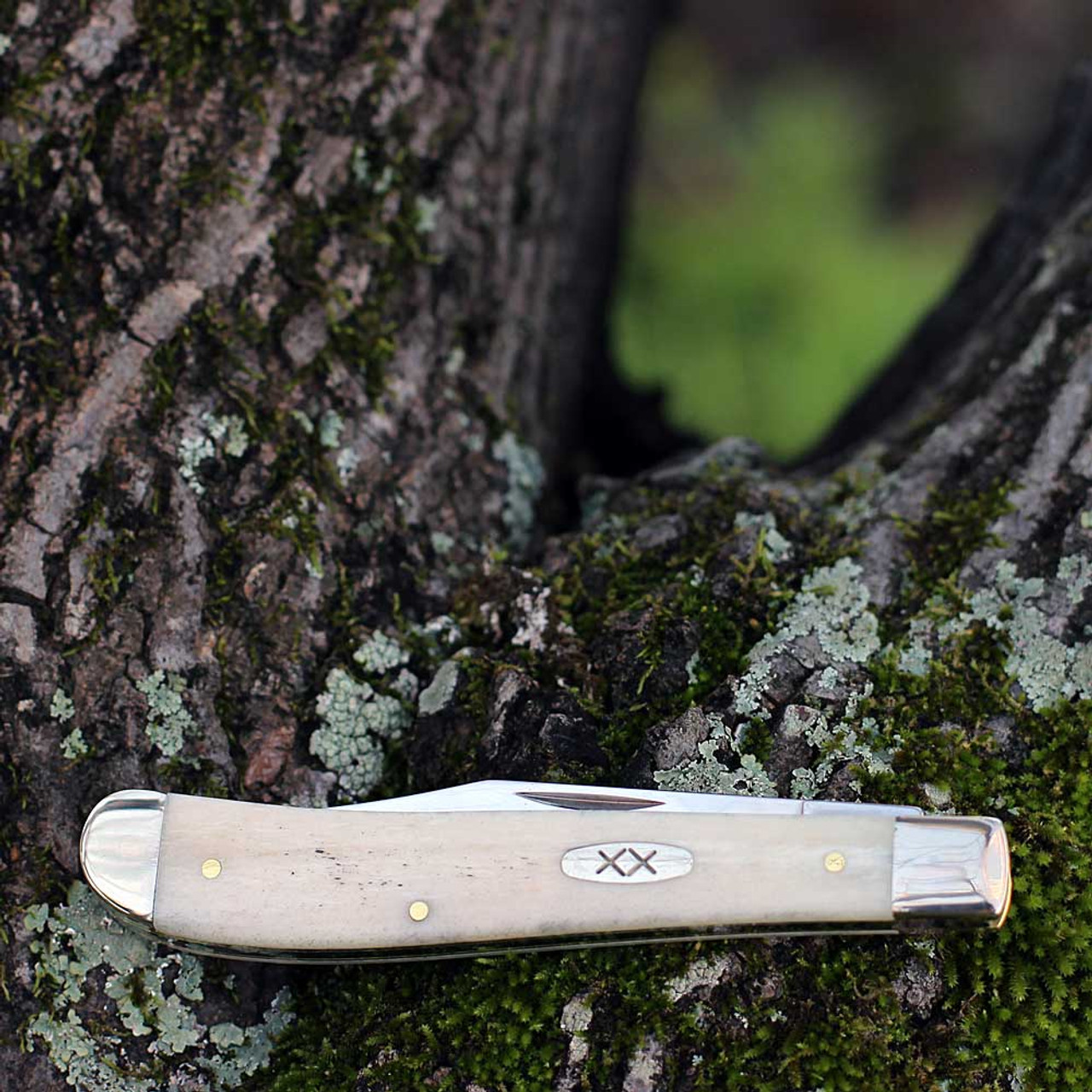 Case Slimline Trapper First Production Run 93312 Smooth Natural Bone (61048 SS)