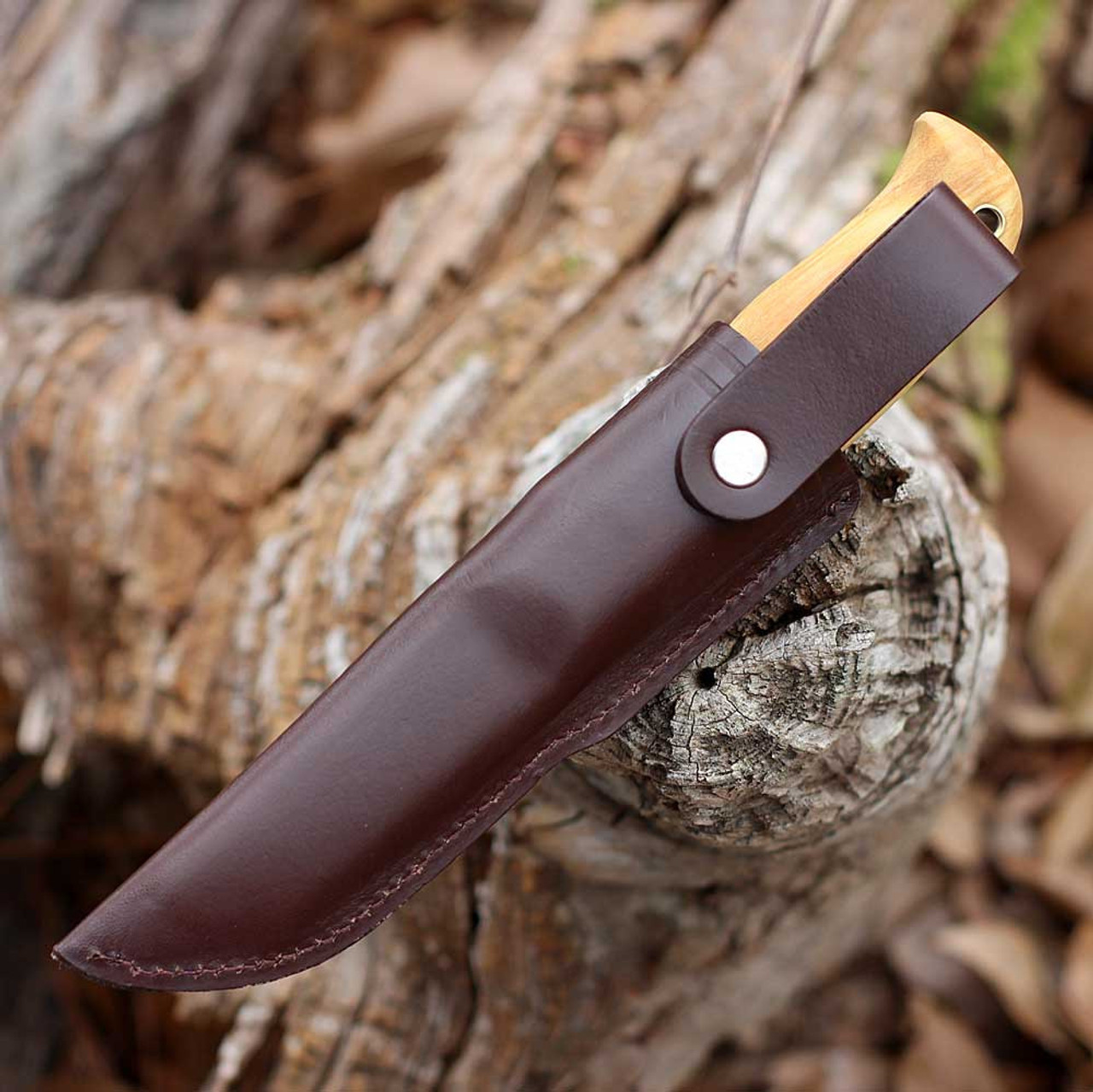 Helle Wakakimi (HE1630) 3.14" Sleipner Satin Drop Point Plain Blade, Curly Birch Wood Handle