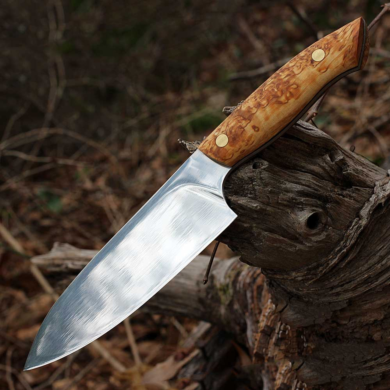 Helle Dele (HE800) 6.30" 12C27 Satin Drop Point Plain Blade, Curly Birch Wood Handle with Vulcanized Fiber Liners, Brown Leather Sheath