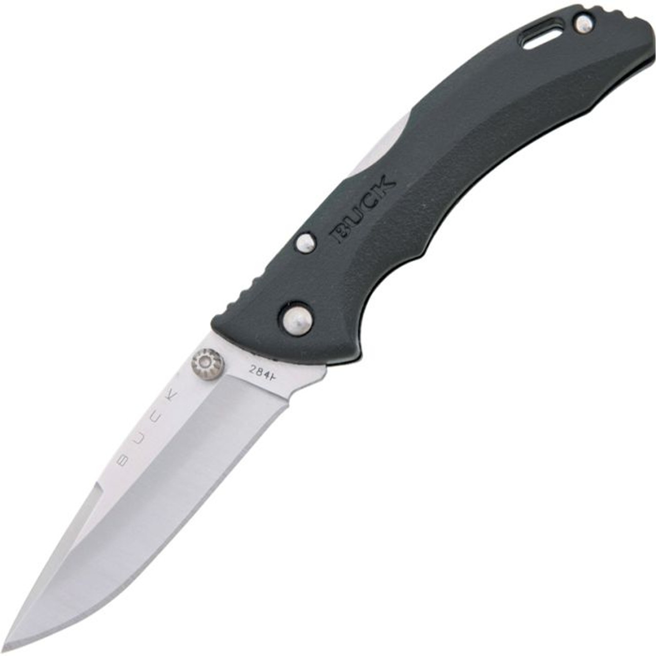 Buck Knives Bantam BBW (BU284BK) 2.75" 420HC Satin Drop Point Plain Blade, Black TPR Handle