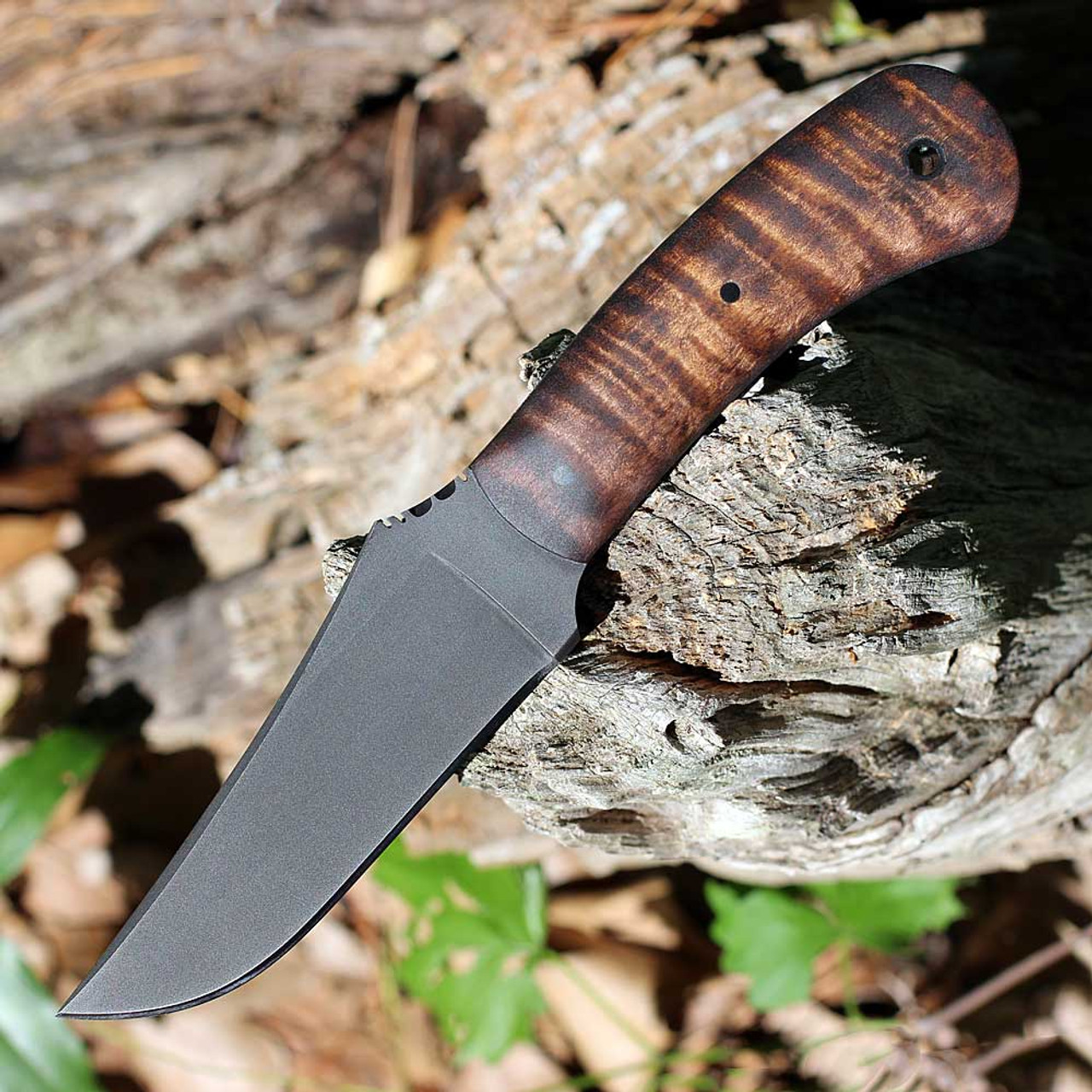Winkler Knives Blue Ridge Hunter (WK004) 4" 80CrV2 Black Clip Point Plain Blade, Maple Wood Handle, Brown Kydex/Leather Sheath