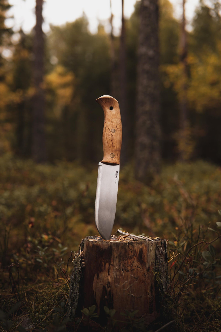 Helle Nord (HE1670) 5.79" Sleipner Satin Drop Point Plain Blade, Curly Birch Wood Handle, Brown Leather Sheath