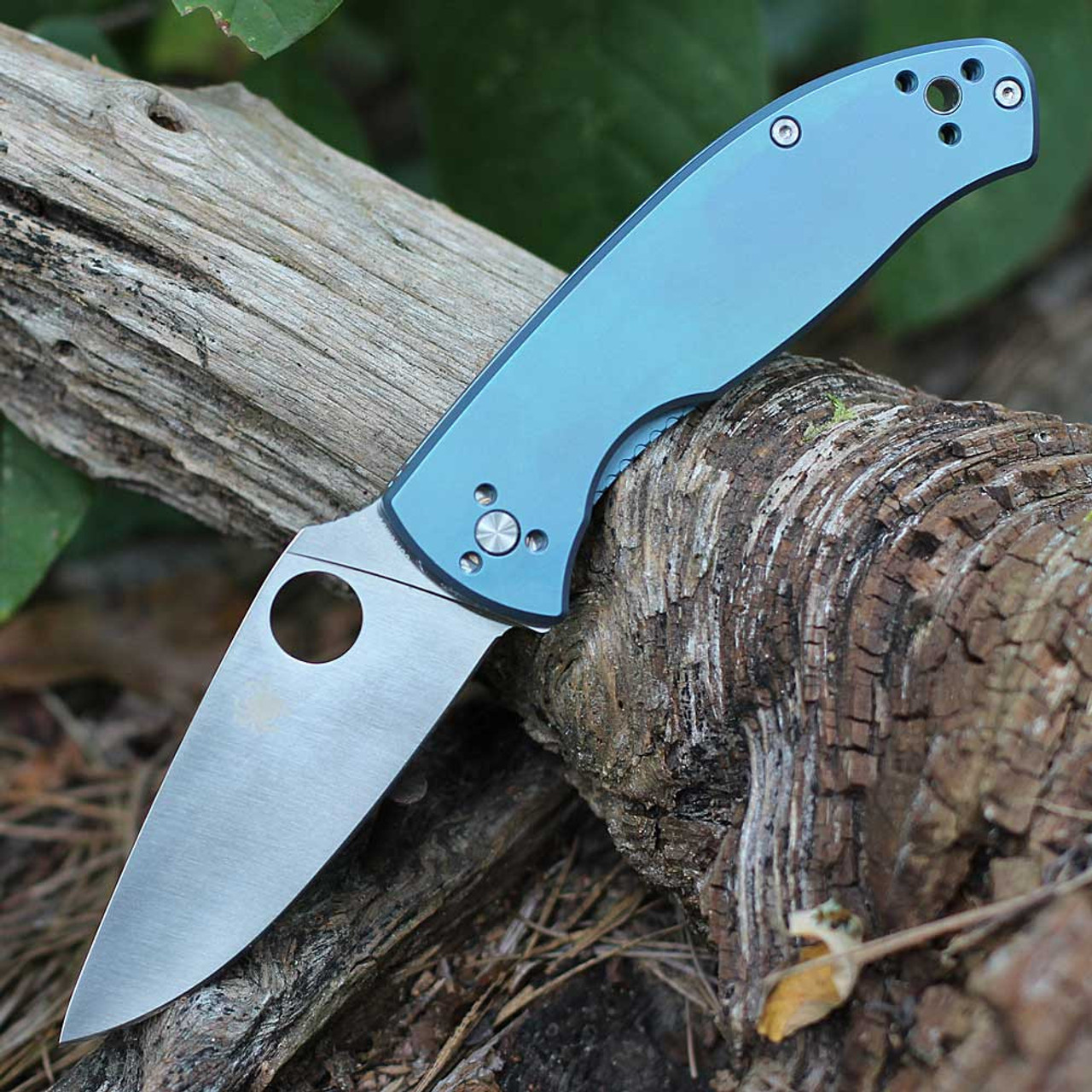 Spyderco Tenacious R.I.L (C122TIBL) 3.35" 8Cr13MoV Satin Drop Point Plain Blade, Blue Titanium Handle
