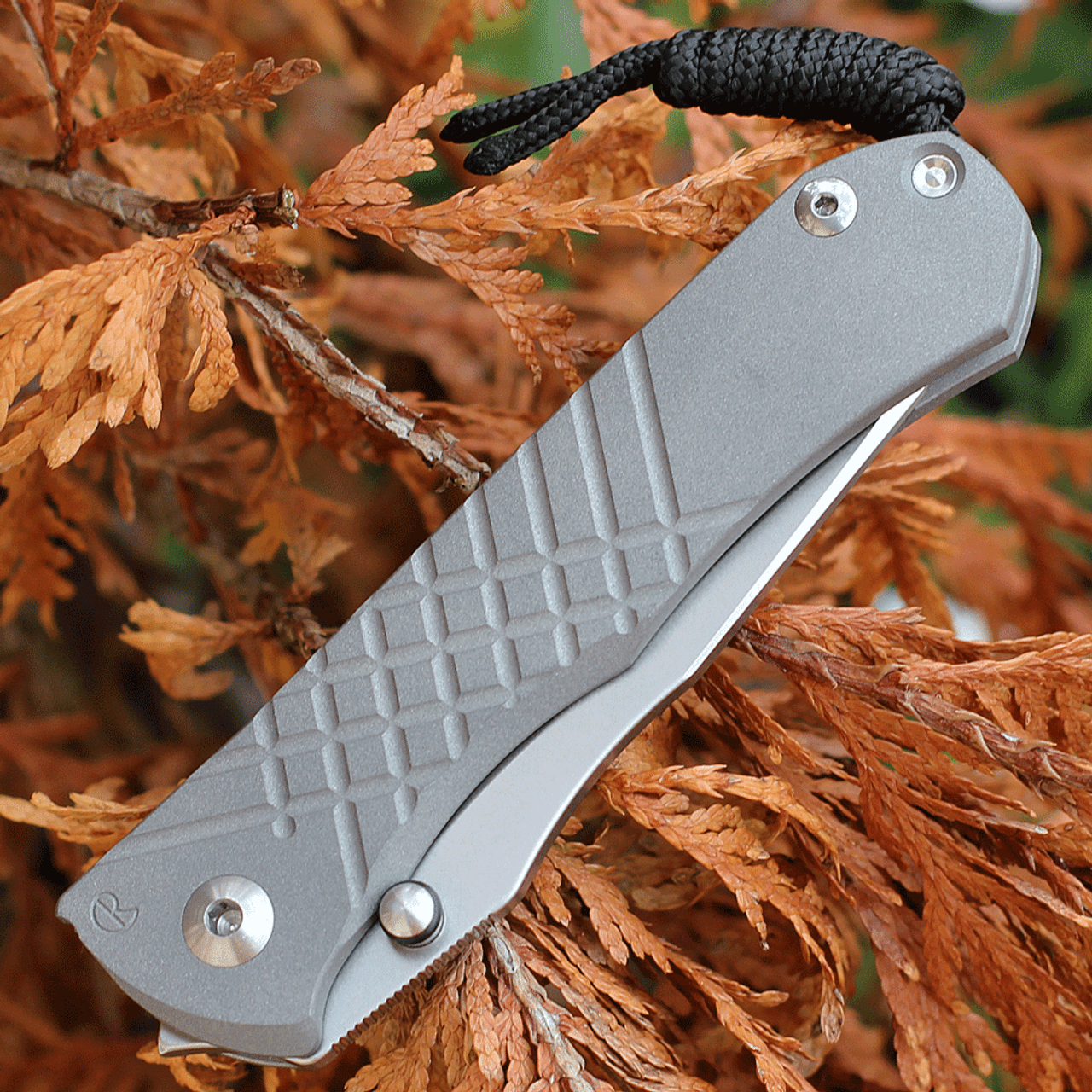 Chris Reeve Umnumzaan - Titanium (3.7" MagnaCut Tanto)