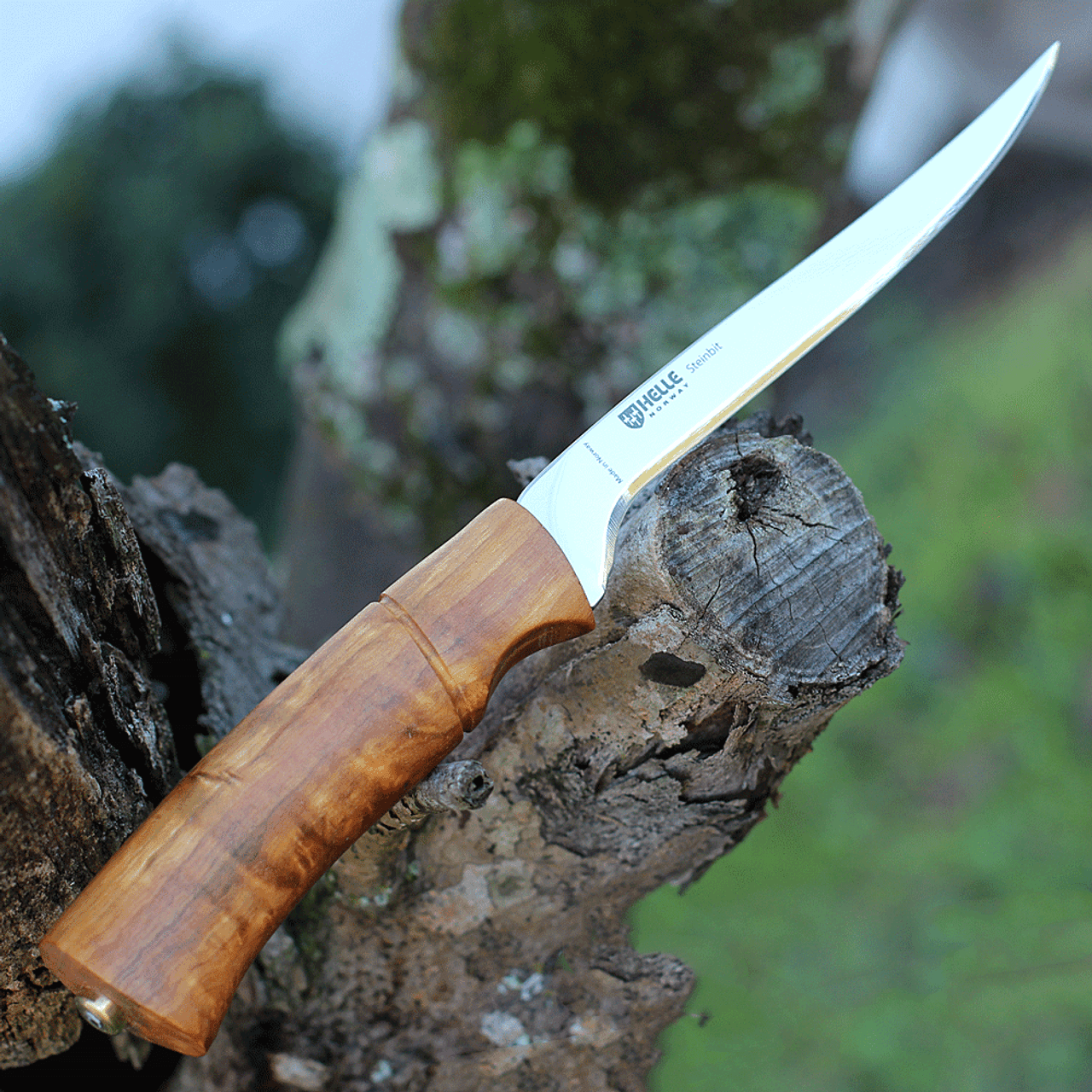 Helle Steinbit (HE115) 6.2" 12C27 Fillet Blade, Curly Birch Handle, Leather Sheath