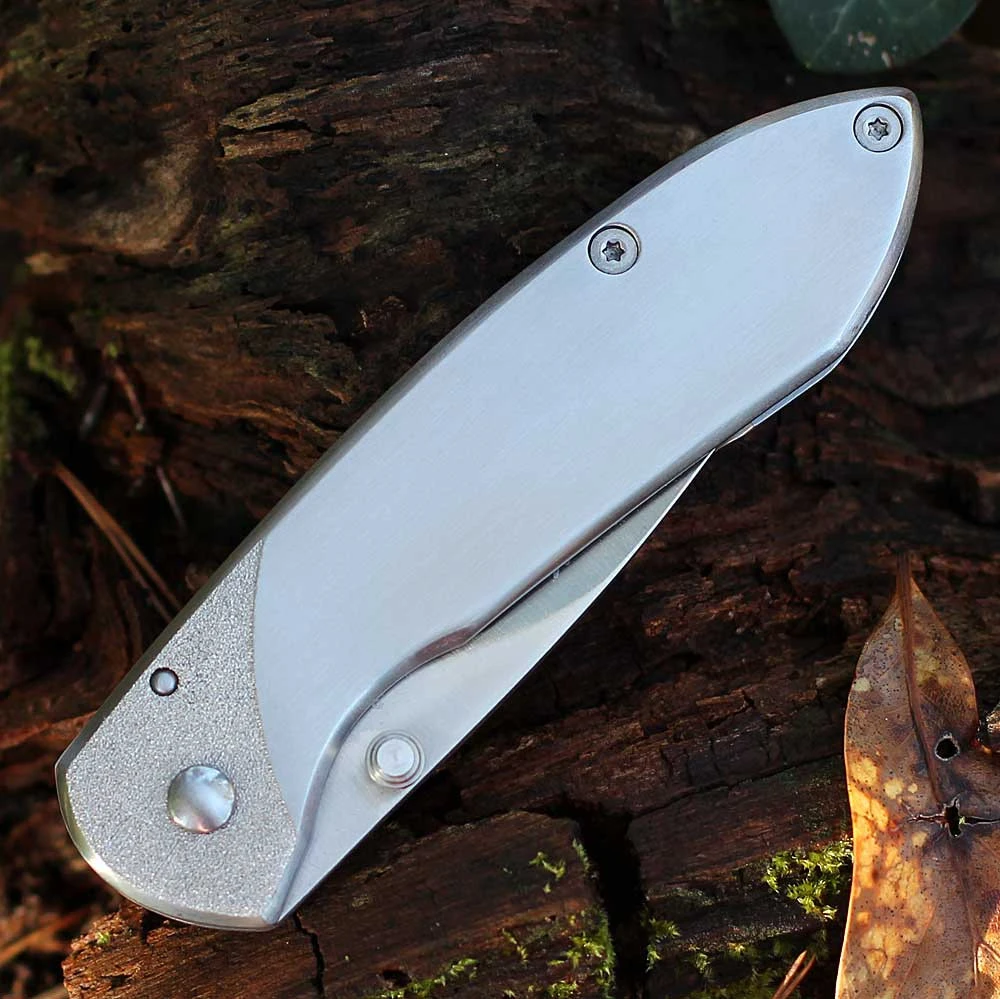 Buck Nobleman (327SSS) 2.6" 7Cr17MoV Stainless Steel Drop Point Blade, Brushed Stainless Steel Handle
