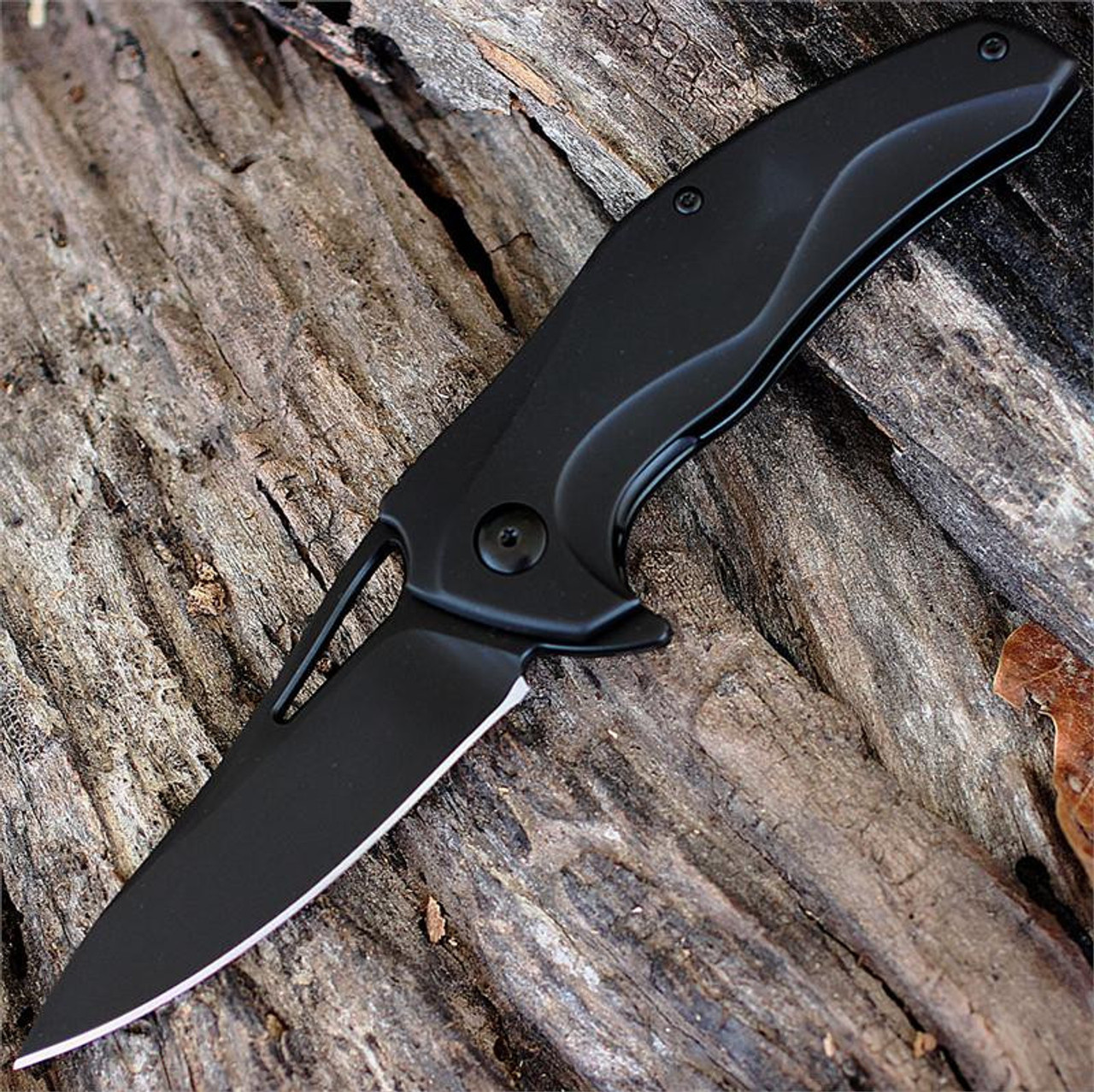 Brous Blades The Exo D2 Black Finish Blade Blackout Titanium Handle flipper