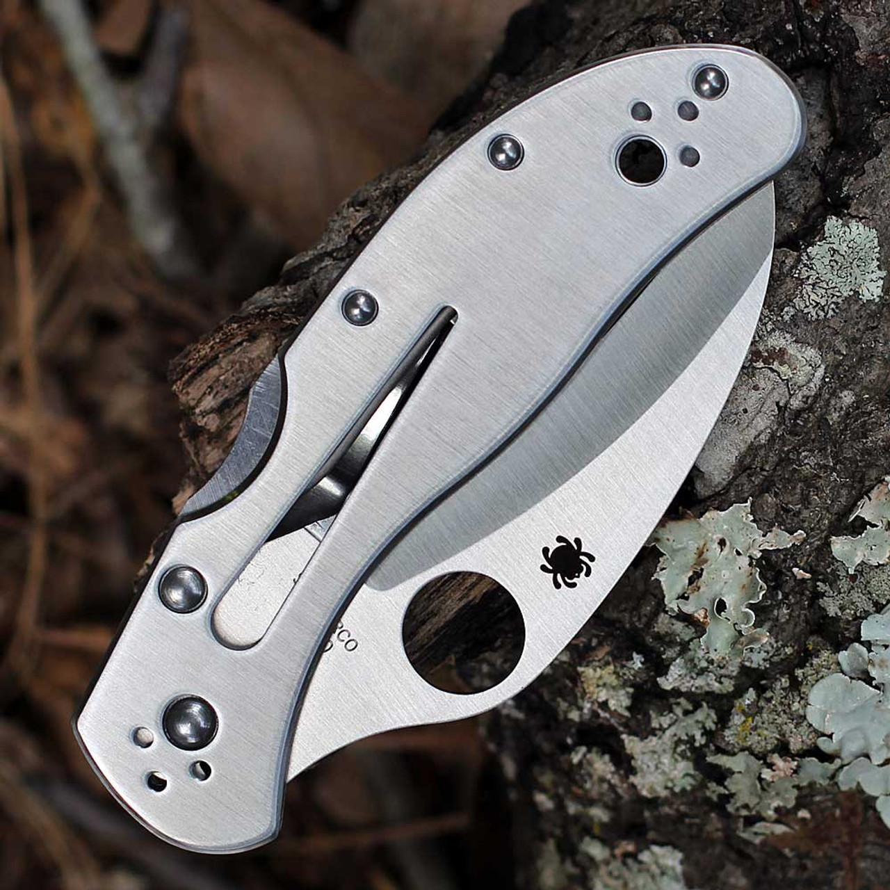 Spyderco Harpy (C08P) 2.75" VG-10 Satin Hawksbill PlainEdge, Stainless Steel Handle