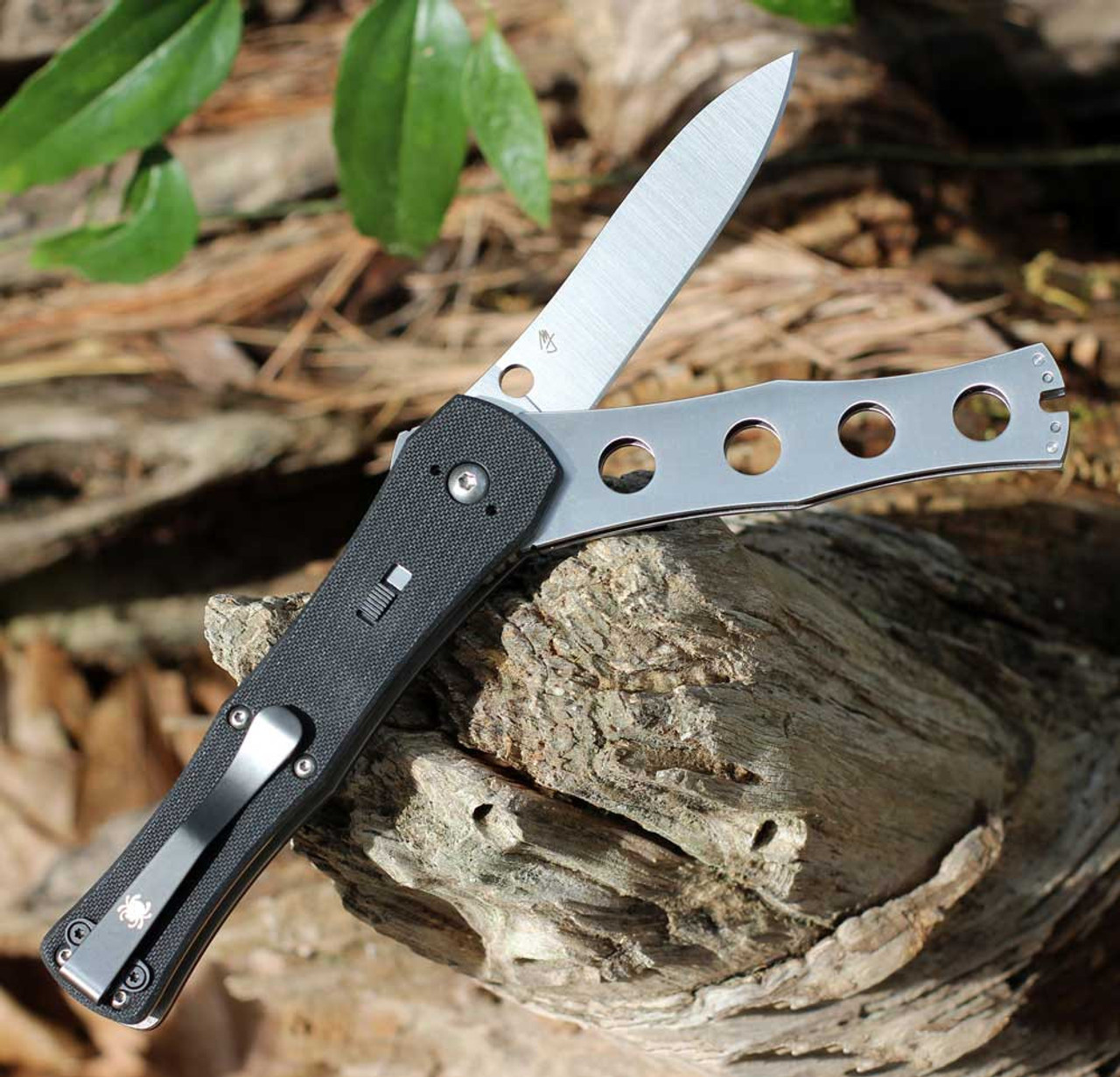 Spyderco JaniSong (C191GP) - 3.25" Satin CPM-S30V Plain Blade, Black G-10 Handle