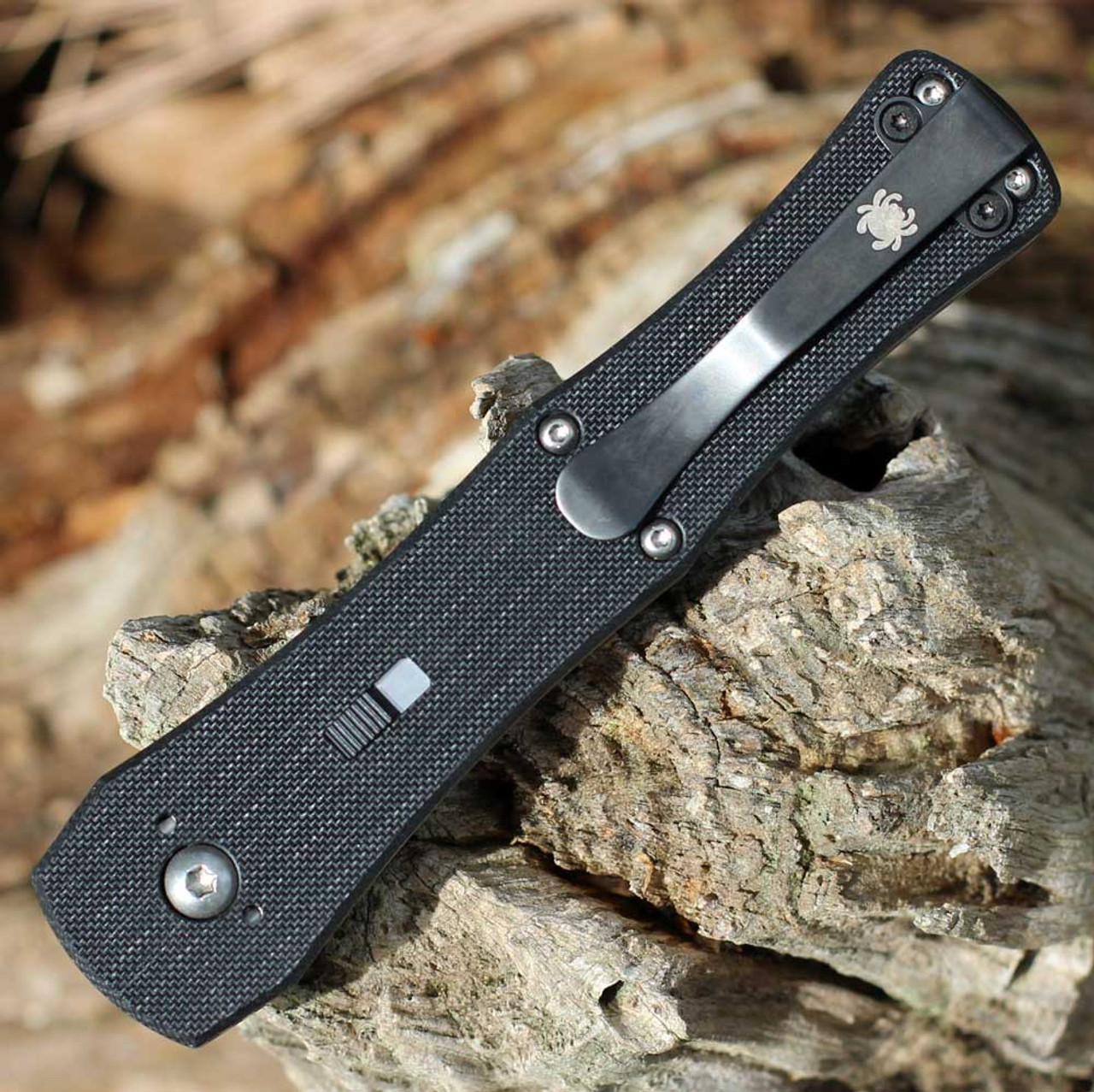 Spyderco JaniSong (C191GP) - 3.25" Satin CPM-S30V Plain Blade, Black G-10 Handle