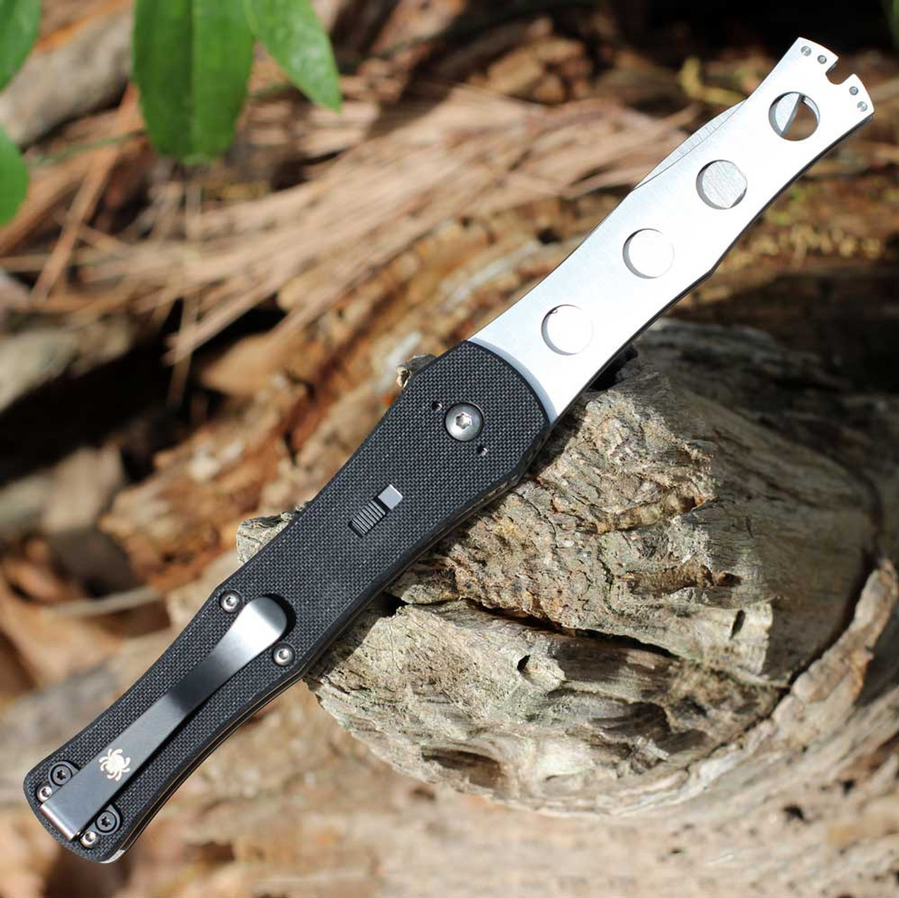 Spyderco JaniSong (C191GP) - 3.25" Satin CPM-S30V Plain Blade, Black G-10 Handle