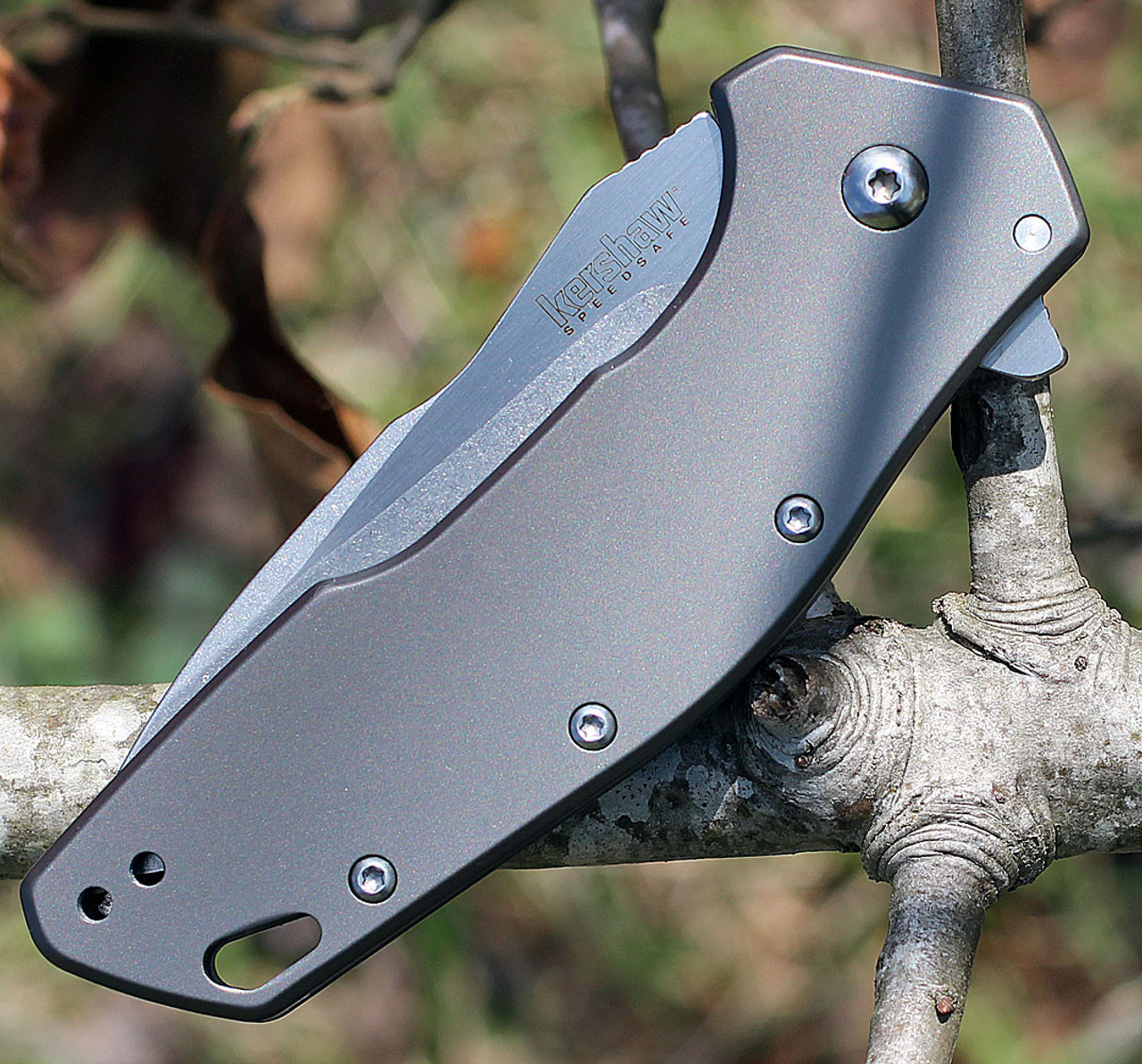 Kershaw Eris Assisted Opening Knife (1881)- 3.00" Stonewashed 8Cr13MoV Drop Point Blade, Titanium Carbo-Nitride Coated Stainless Steel Handle