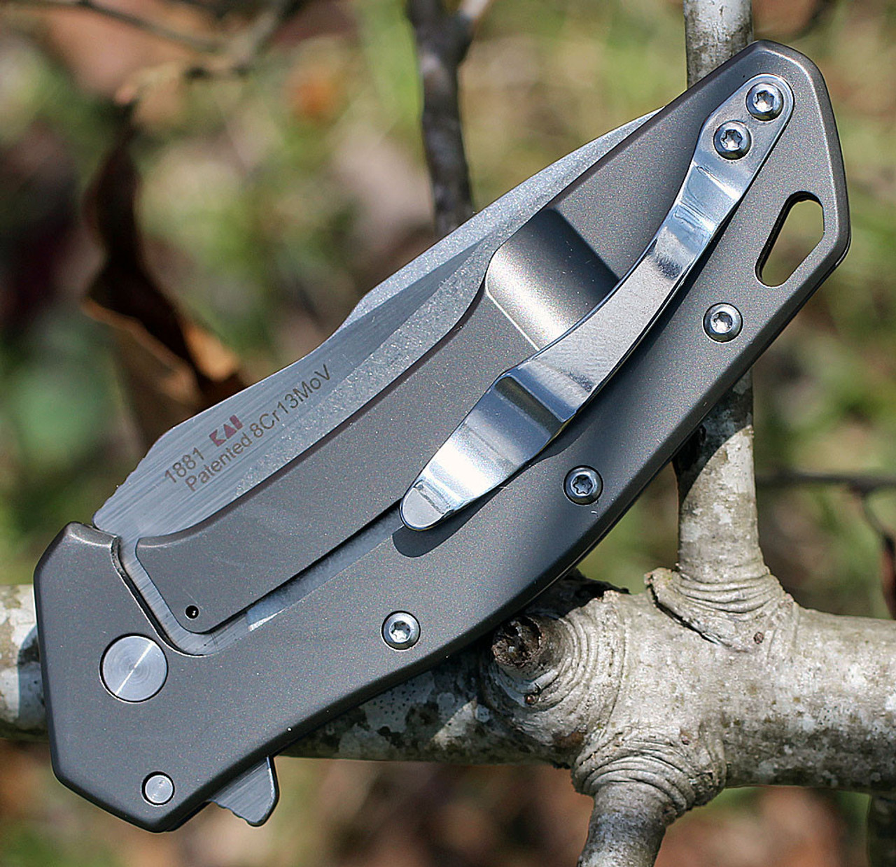 Kershaw Eris Assisted Opening Knife (1881)- 3.00" Stonewashed 8Cr13MoV Drop Point Blade, Titanium Carbo-Nitride Coated Stainless Steel Handle