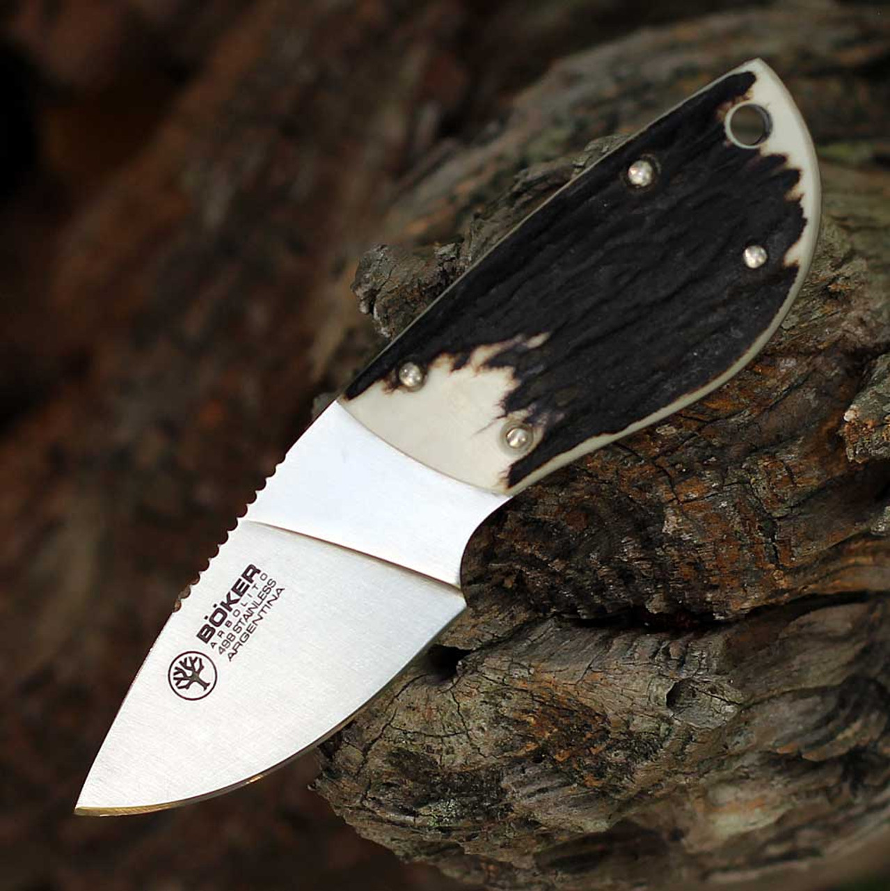 Caper knife 2.38" blade and rugged stag handle Boker Arbolito 02BABA530H
