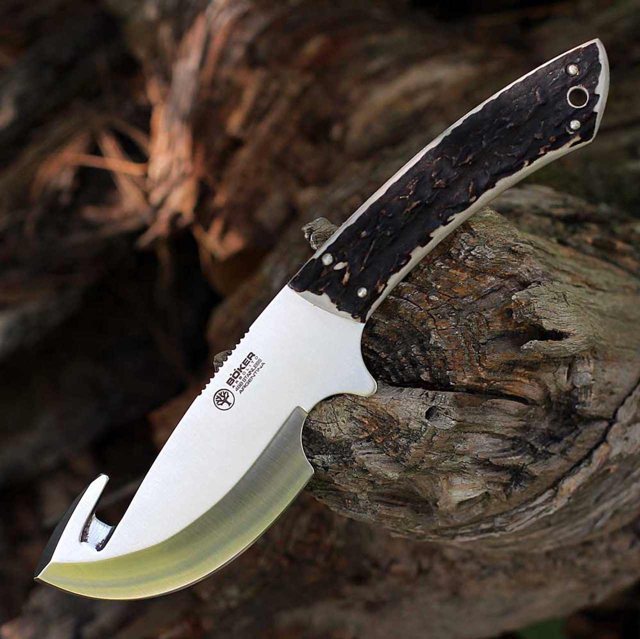 Fixed hunter 4.25" blade with gut hook close-up Boker Arbolito 02BA510HH