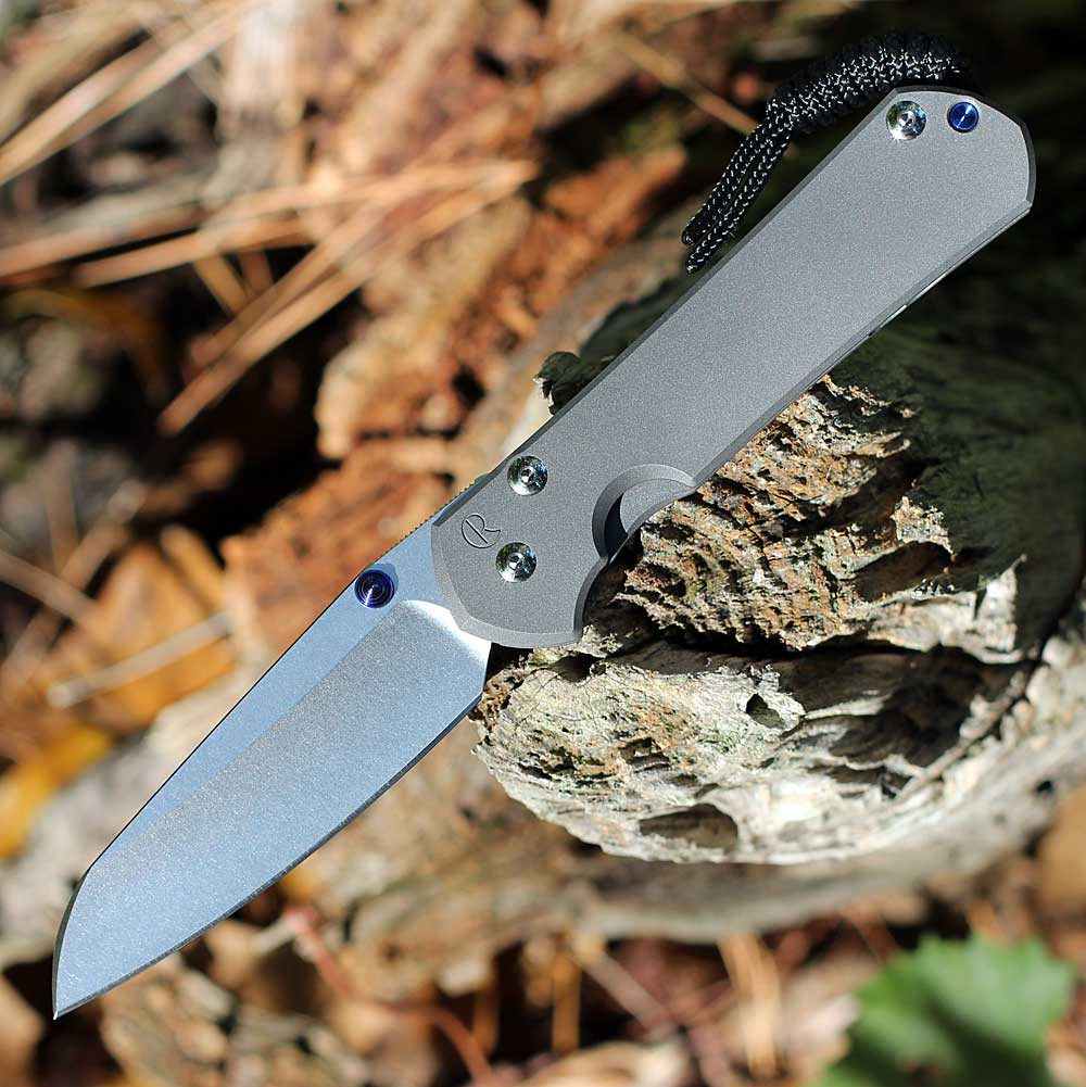Chris Reeve Large Sebenza 31 3.61