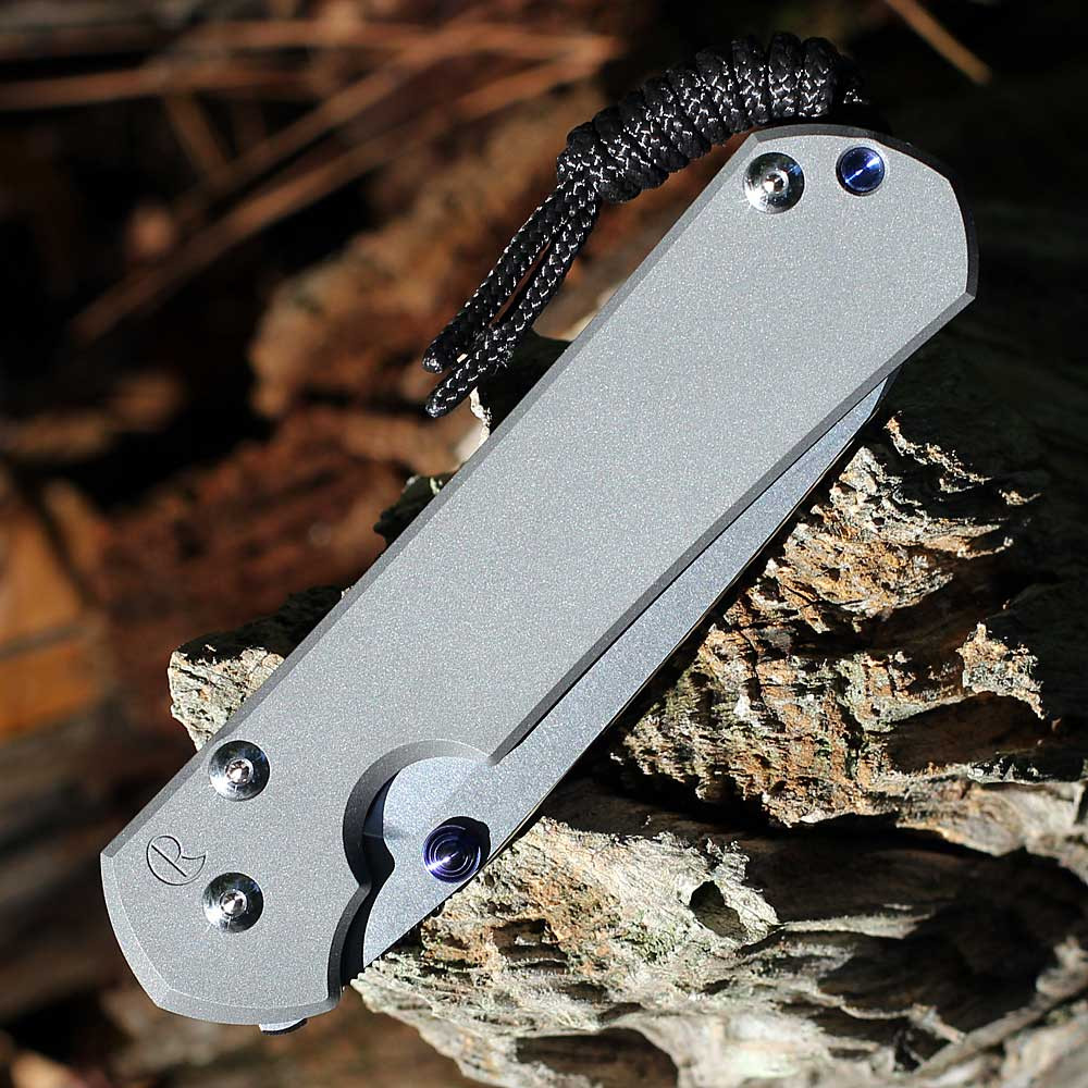 Chris Reeve Large Sebenza 31 Insingo | L31-1008 | Knifeworks