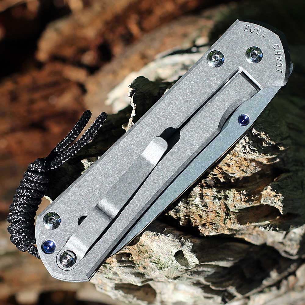 ももゴン。 Snap-on TSUNAGI グレー Lサイズ Chris Reeve Large Sebenza 31 3.61