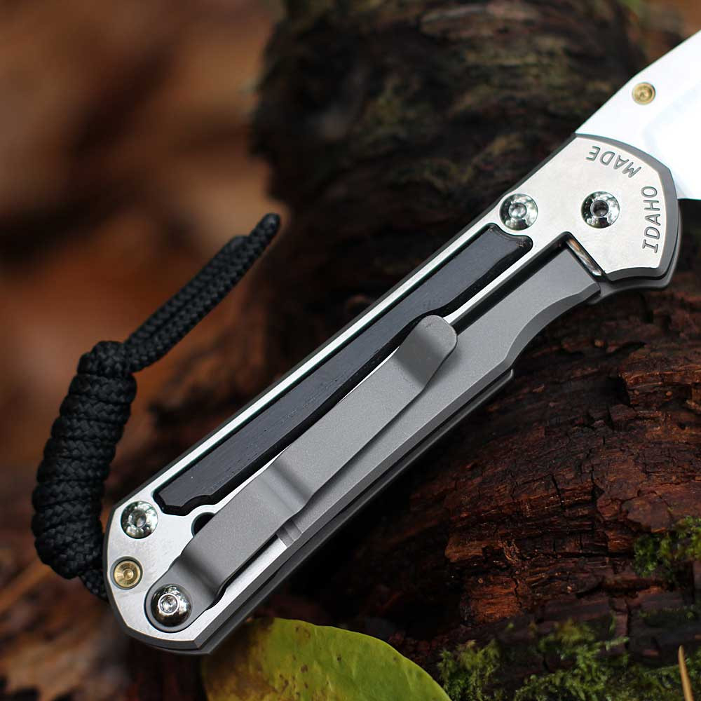 Chris Reeve Small Sebenza 31 MagnaCut Drop Point Bog Oak | Knifeworks