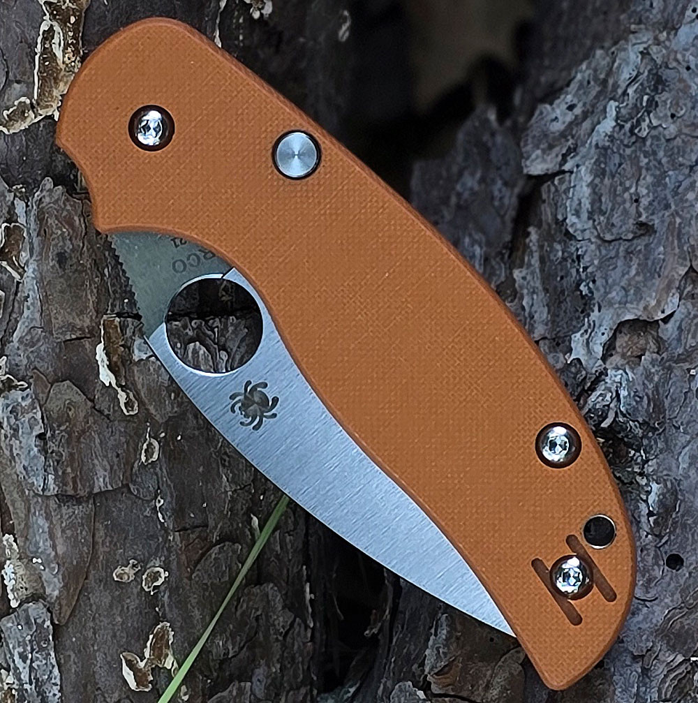 Spyderco Sage 6 C123GPBO121 burnt orange G-10 handle open view showing CPM REX 121 satin blade and button-release compression lock