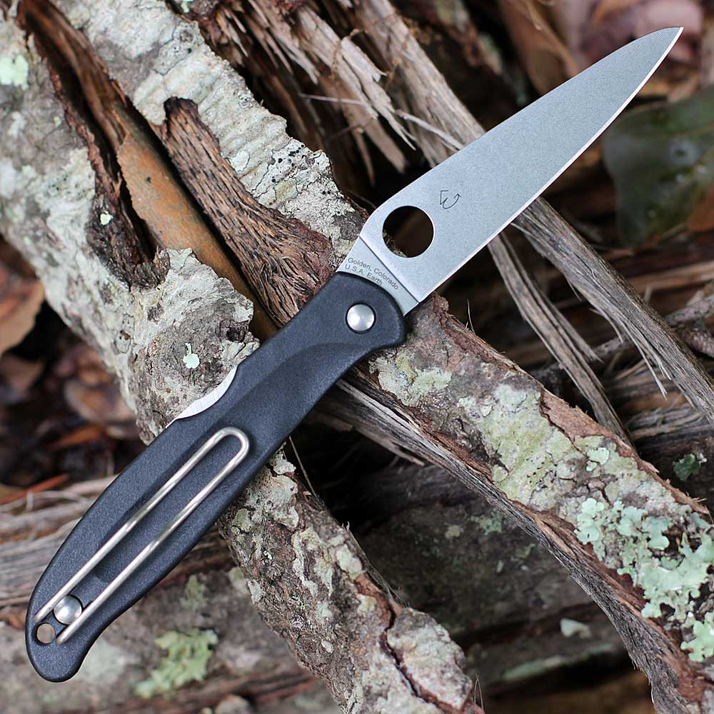 Spyderco Charisma C259PBK 2.98in CTS BD1N Satin Plain Edge Leaf-Shaped Blade Open View