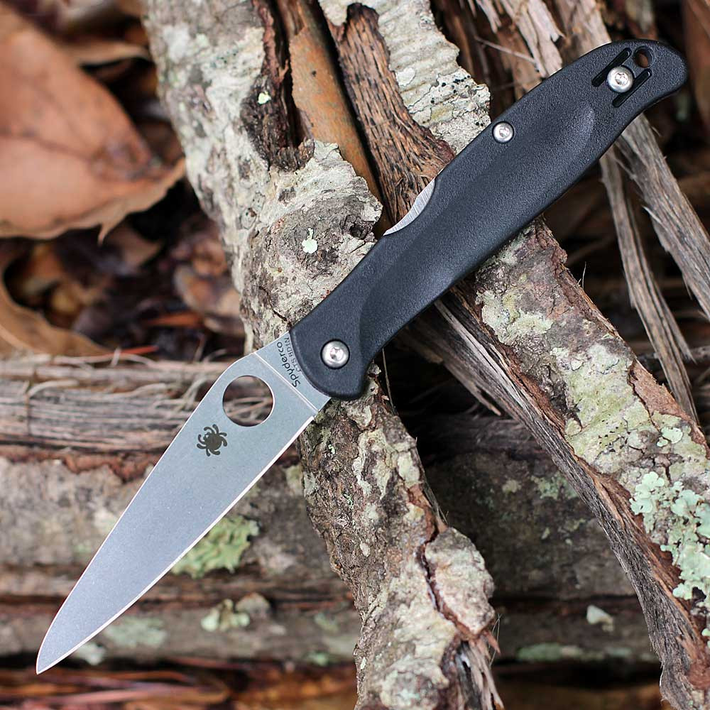Spyderco Charisma C259PBK 2.98in CTS BD1N Satin Leaf Blade Black FRN Lock Back Closed