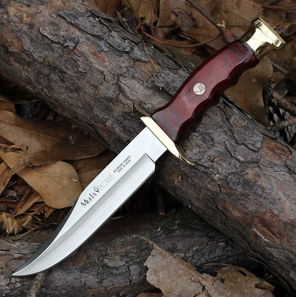 Muela BW-16 02MU224 fixed blade hunting knife coral pakkawood handle 6.3 inch X50CrMoV15 stainless satin clip point blade with brass guard and leather sheath