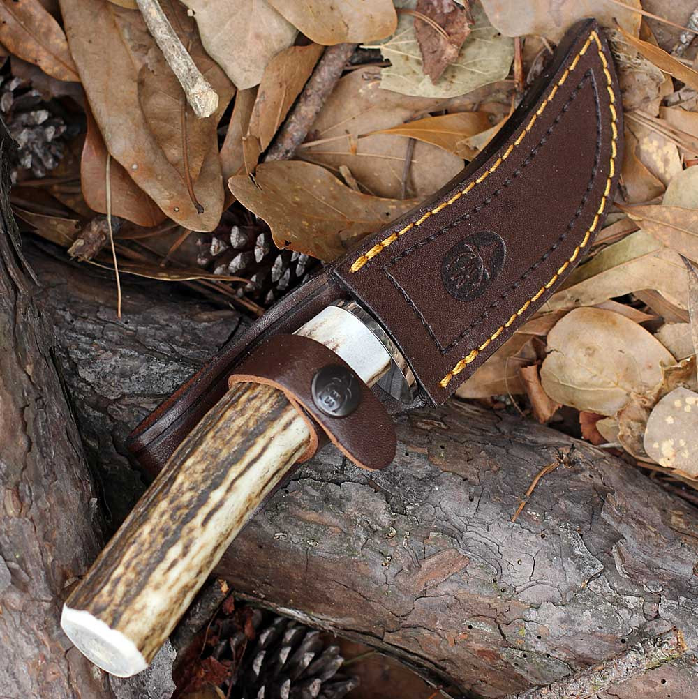 Muela DP-10 02MU191 fixed blade hunting knife stag handle 3.9 inch MoVa stainless satin clip point blade with brass guard and leather sheath