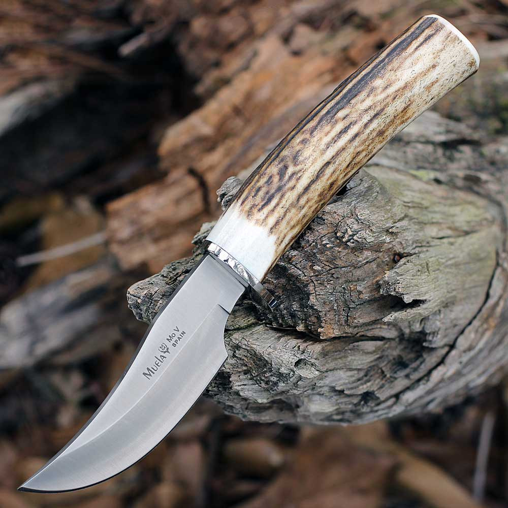 Muela DP-10A 02MU191 3.9" MoVa satin drop point, stag horn handle