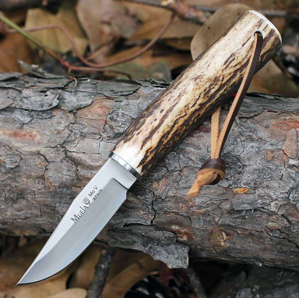 Muela BW-6A 02MU221 | X50CrMoV15 Stag Fixed Blade | Knifeworks