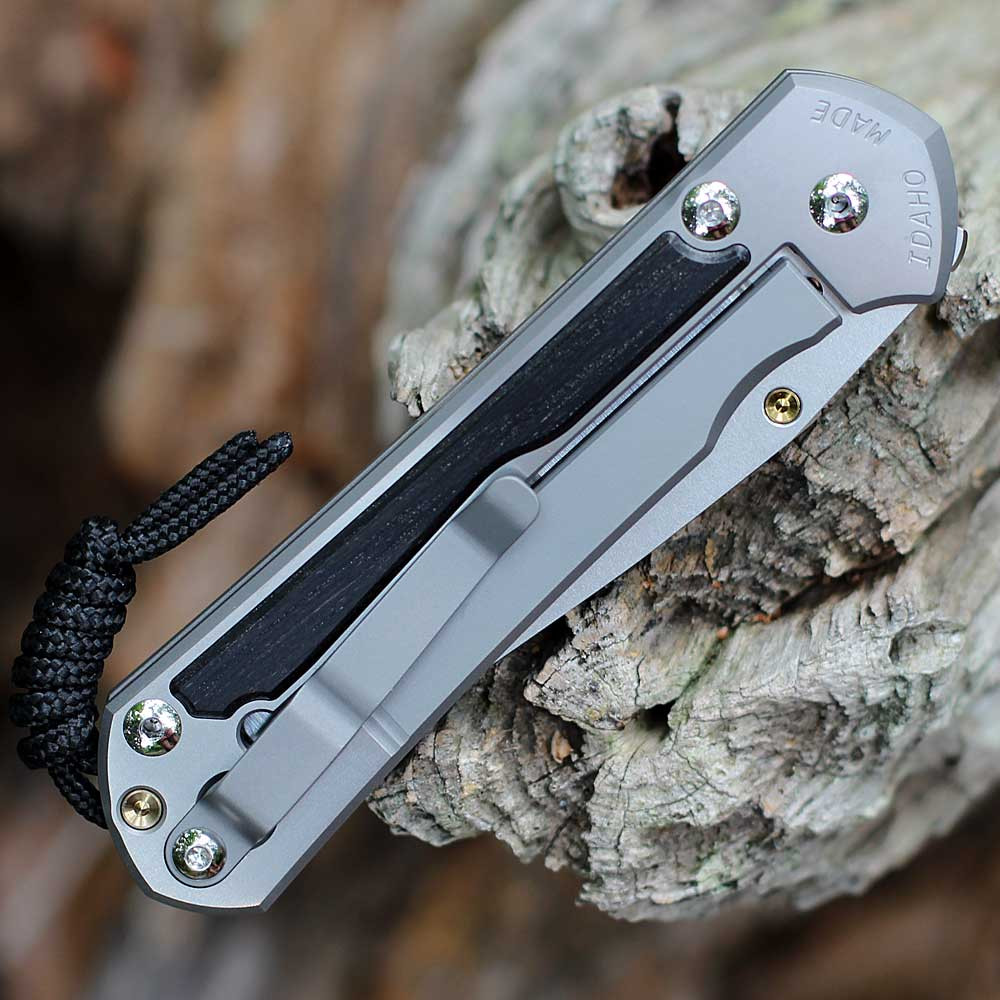 志尊mm Chris Reeve Large Sebenza 31 MagnaCut Bog Oak Gold | Knifeworks