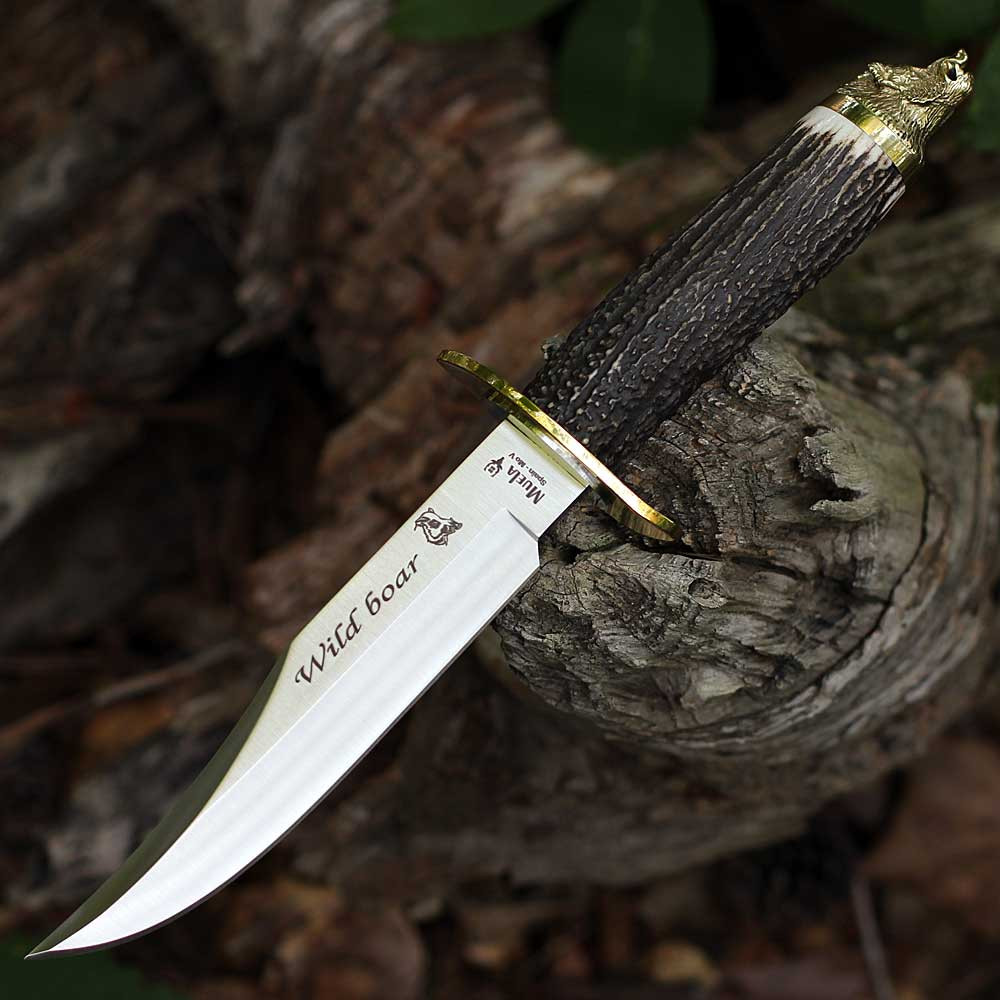 Muela Wildboar 02MU092 6.35 Inch 4116 Stainless Trophy Series Bowie Fixed Blade Right Side View