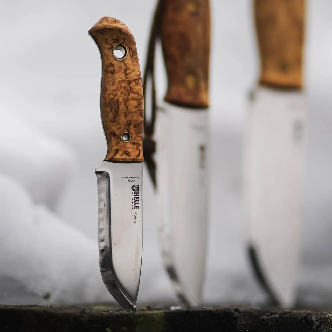 Helle Polaris 3.15 in. fixed blade knife curly birch handle upright view Norway 2026