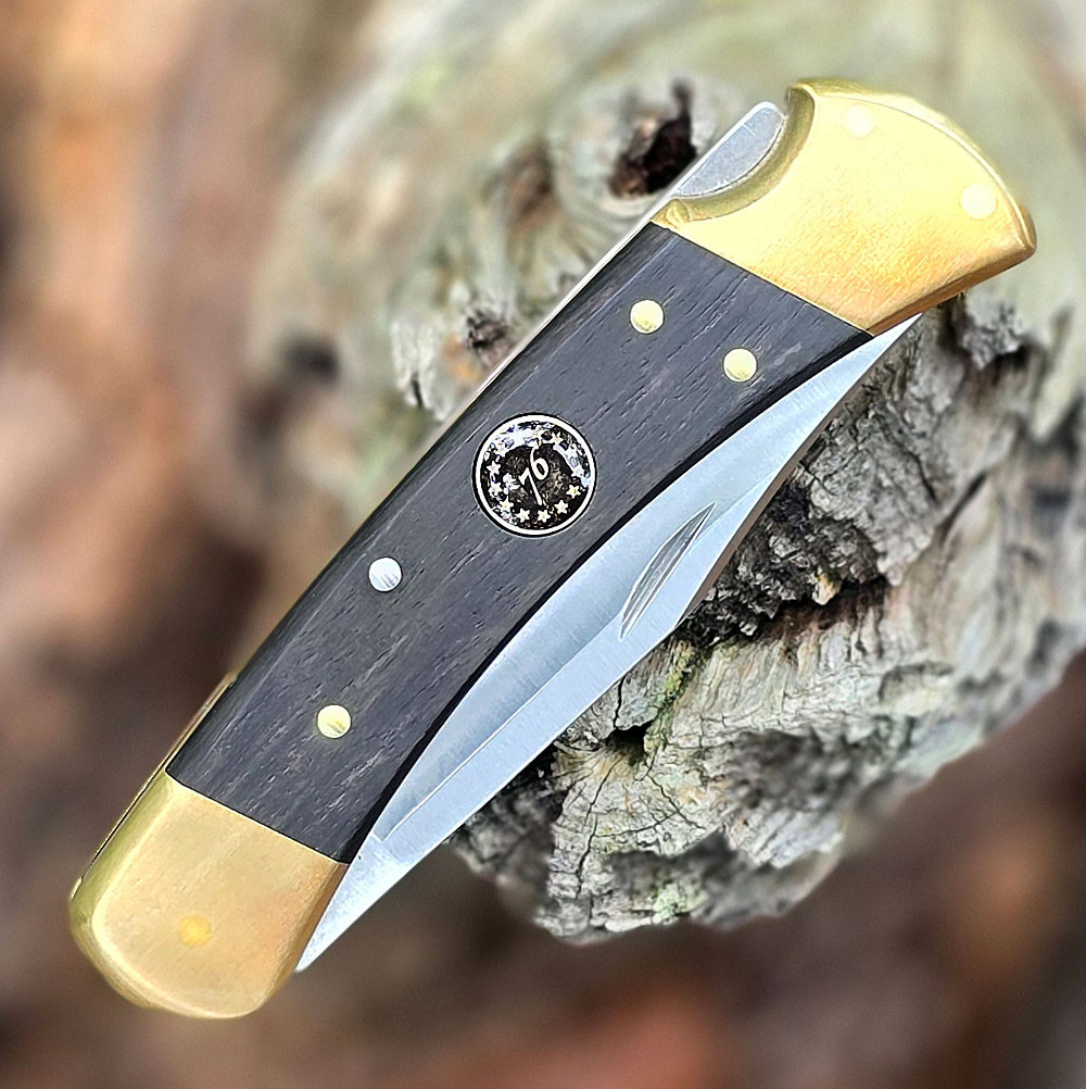 Buck 110 250th Anniversary - 3.75" 420HC Clip Point Blade, Crelicam Ebony Handle - 0110BRSUSA1