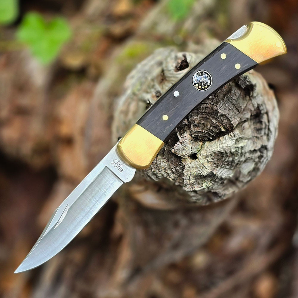 Buck 110 250th Anniversary - 3.75" 420HC Clip Point Blade, Crelicam Ebony Handle - 0110BRSUSA1