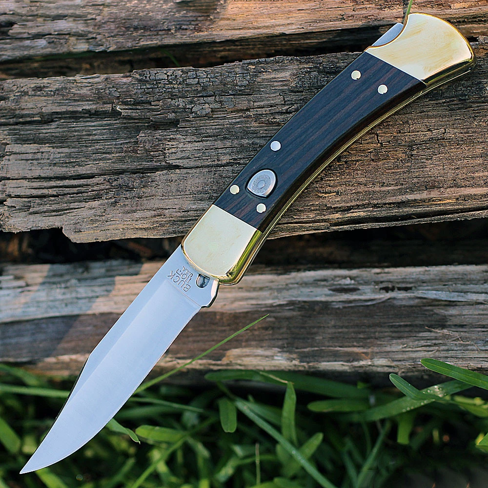 A Buck 110 Auto push-button automatic knife shown with the blade deployed alongside its genuine leather friction-fit sheath, highlighting the 420HC clip point blade and genuine Crelicam ebony handle with brass hardware.