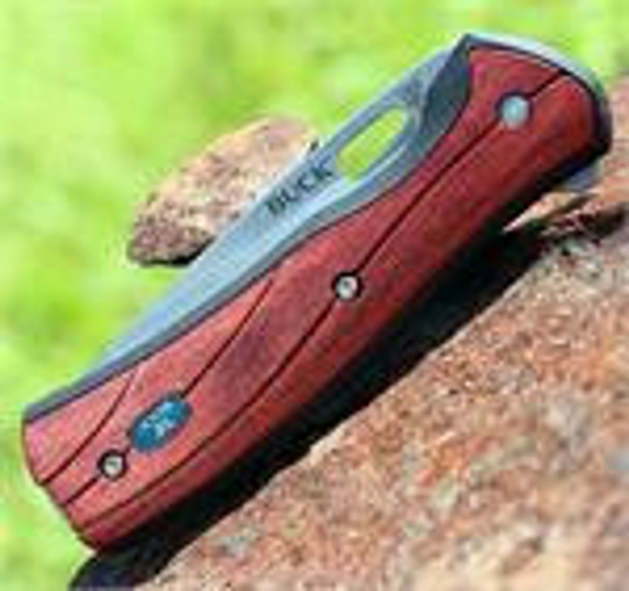 Buck 346RWS Vantage Avid, 3.25" 420HC Plain Blade, Rosewood Dymondwood Handle