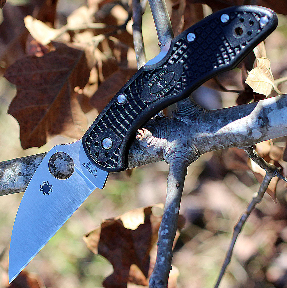 VG-10 stainless steel Wharncliffe plain edge blade close up