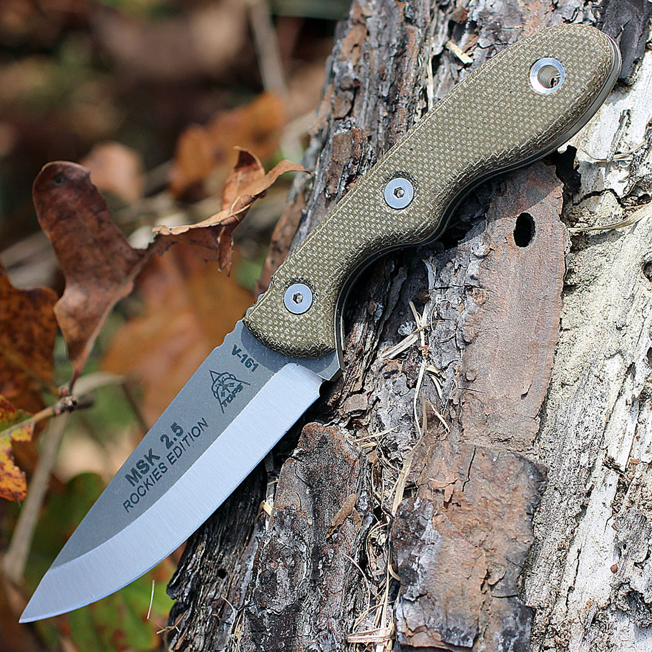 TOPS Knives Mini Scandi (TPMSKTBF) 3" 1095 Stonewashed Drop Point Plain Blade, Green Canvas Micarta Handle, Coyote Tan Kydex Sheath