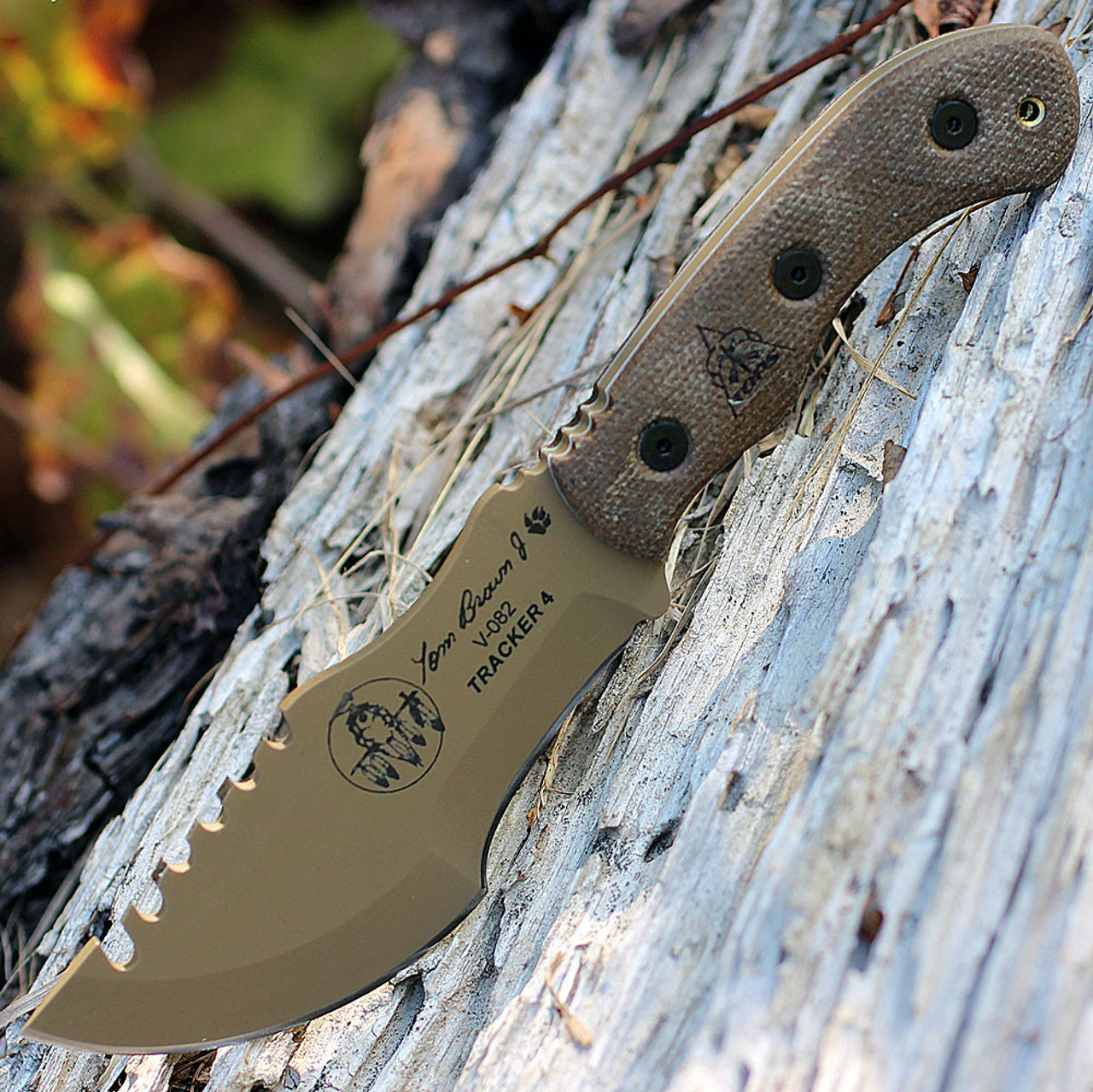 Tops Tom Brown Tracker (TPTBT04TAN) 3.5" 1095 Coyote Tan Coated Clip Point Plain Blade w/ Sawback, Green Canvas Micarta Handle, Coyote Tan Kydex Sheath