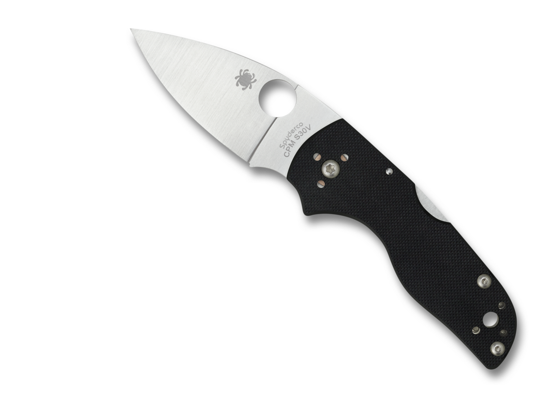 Spyderco Lil' Native C230MBGP Back Lock Open